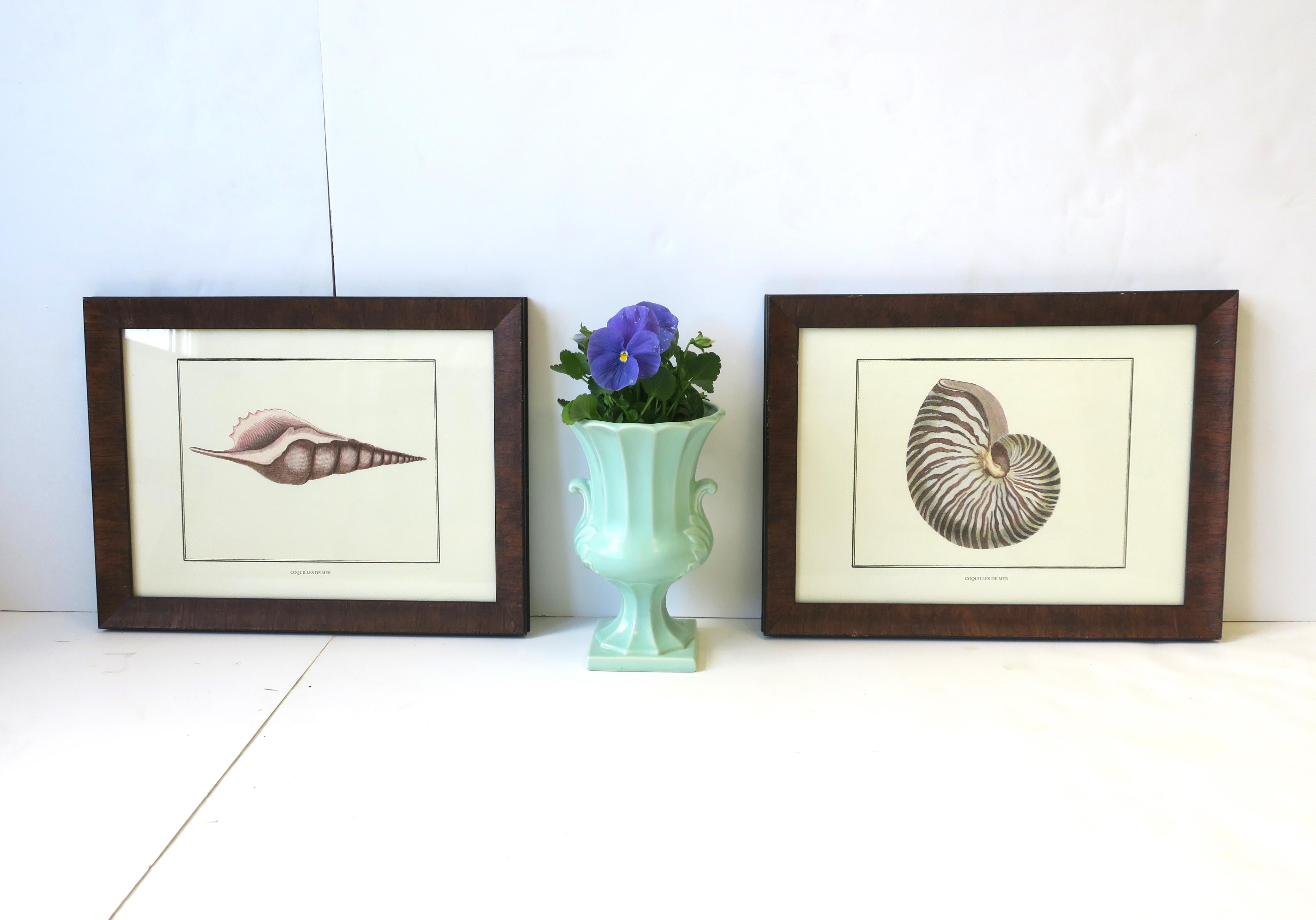 Italian Nautilus Seashell Print Artwork Wall Art For Sale 5