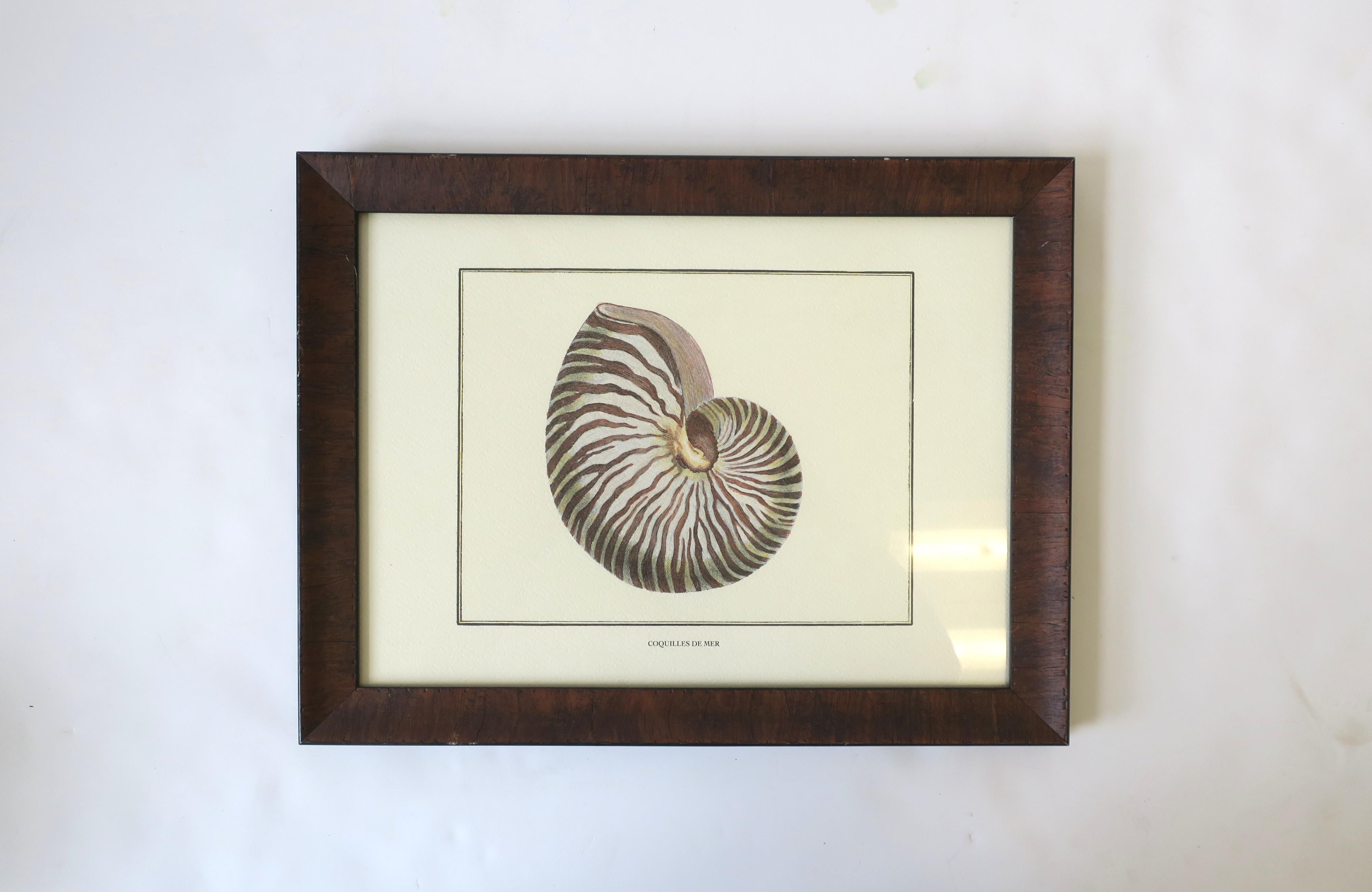 Italienische Nautilus-Muscheldruck-Wandkunst im Angebot 6