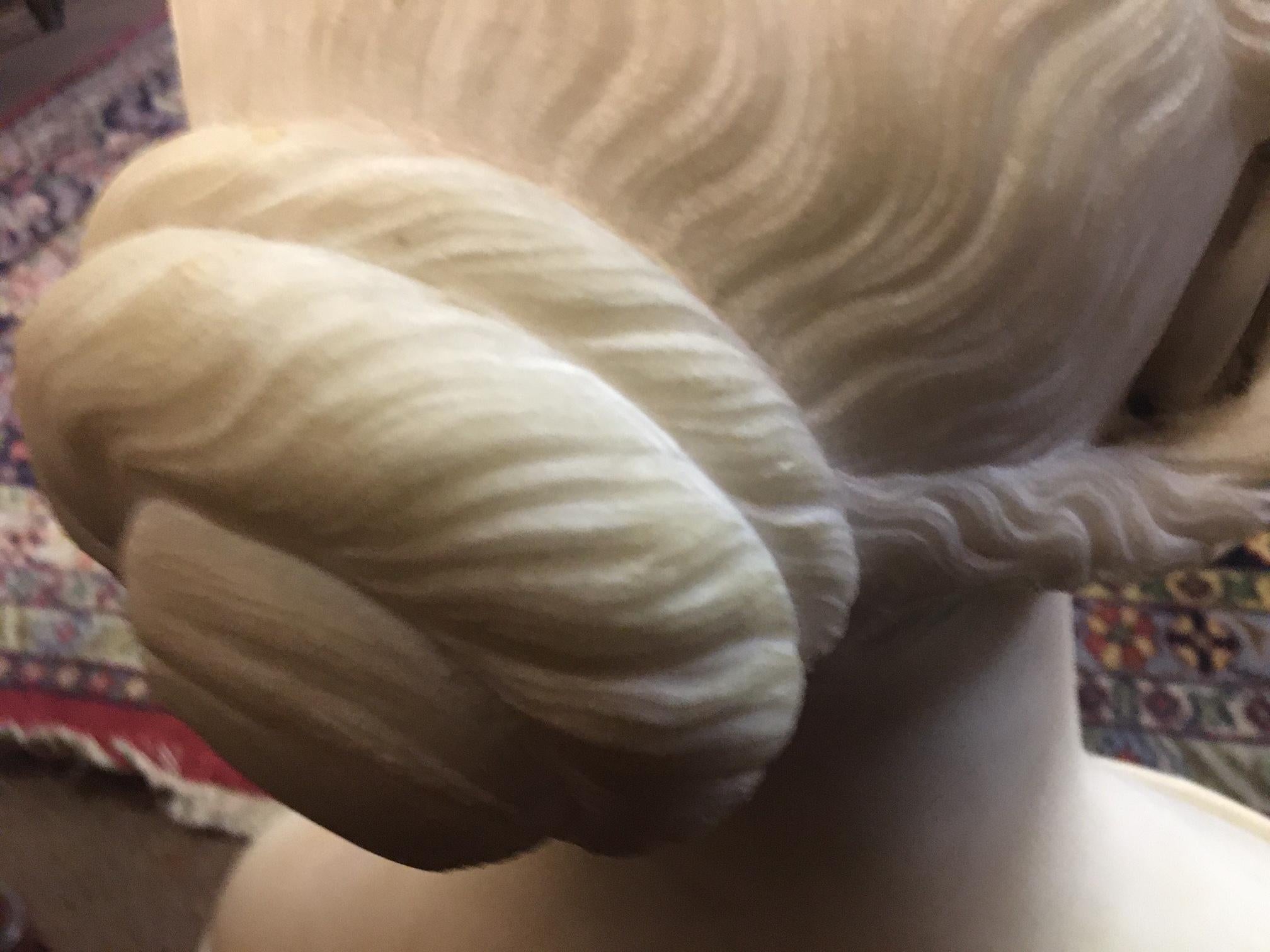 Italian Neoclassic Marble Bust of Woman signed Lawrence Macdonald Rome 1852 3
