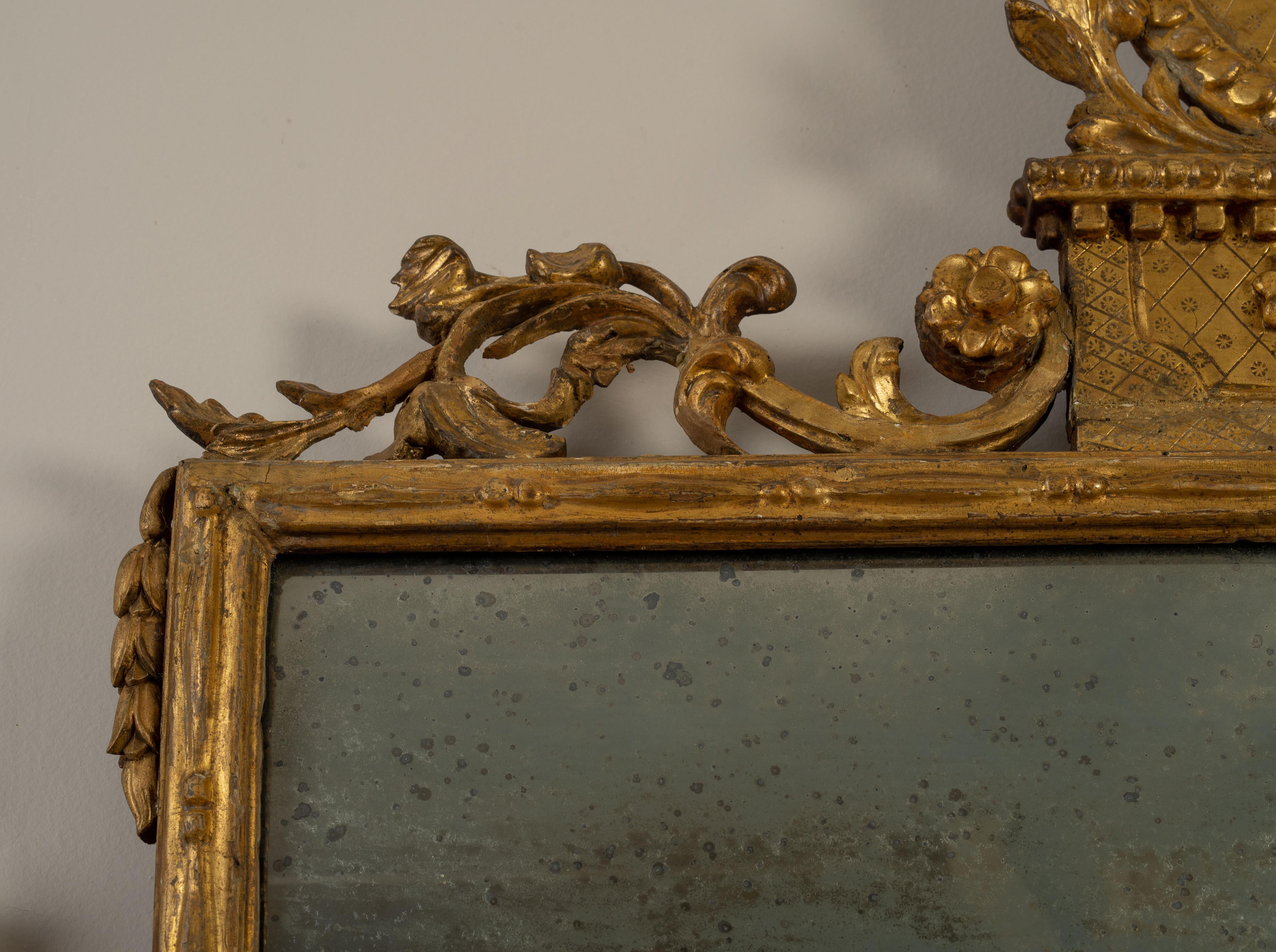 Pine Italian Neoclassical Giltwood Mirror