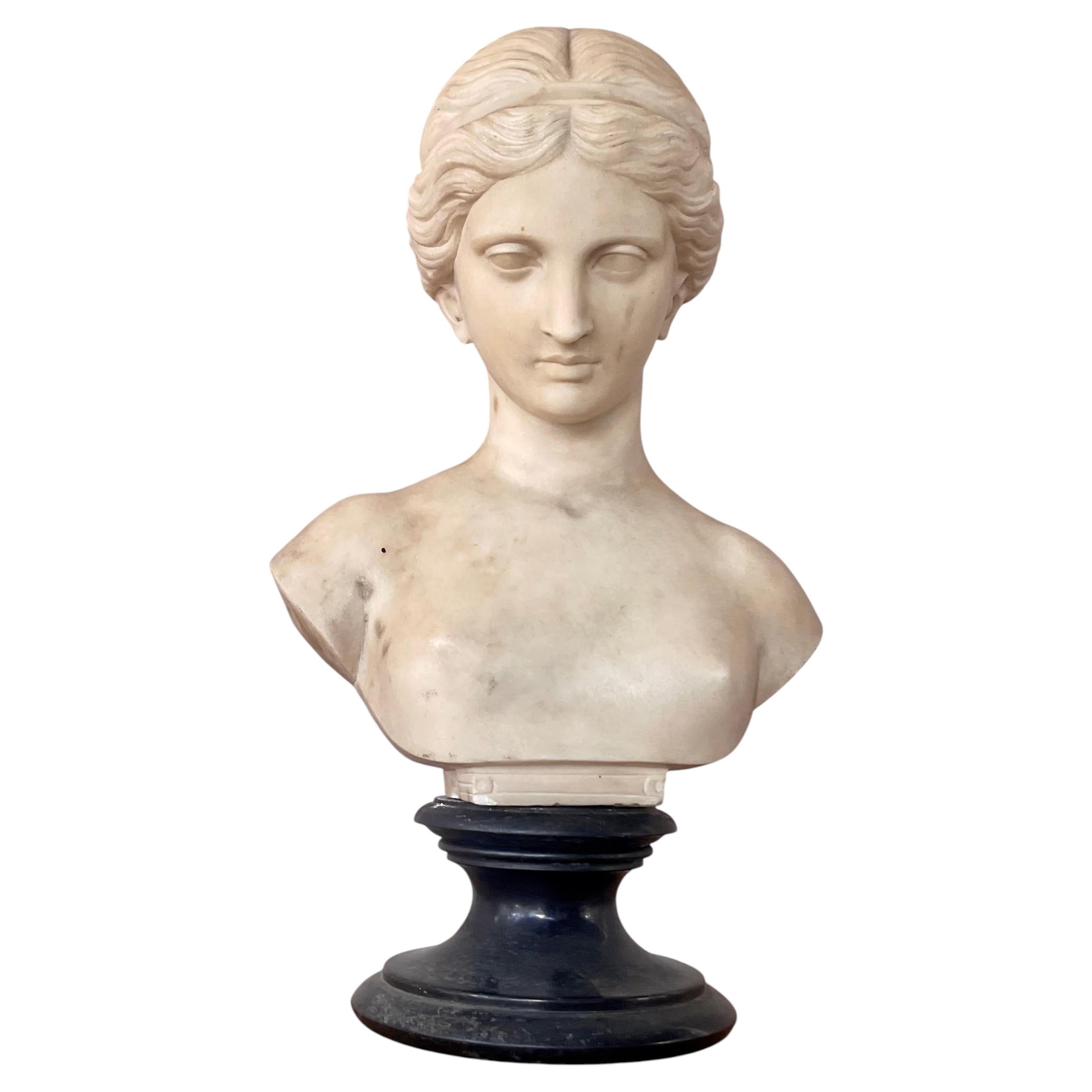 Prof. Giuseppe Bessi, Bust of Crowned Woman, Italy 19th Century