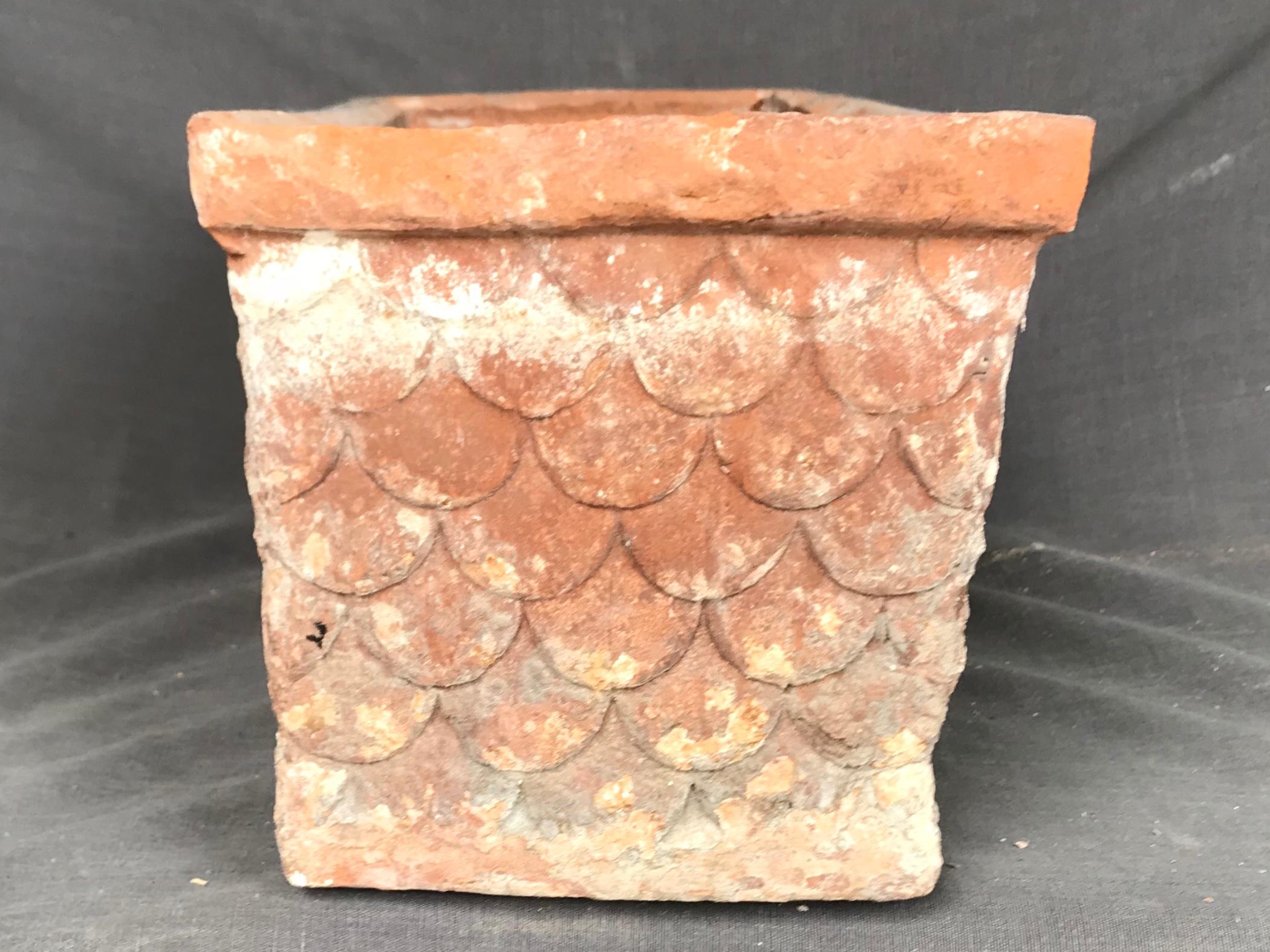 oblong terracotta planter