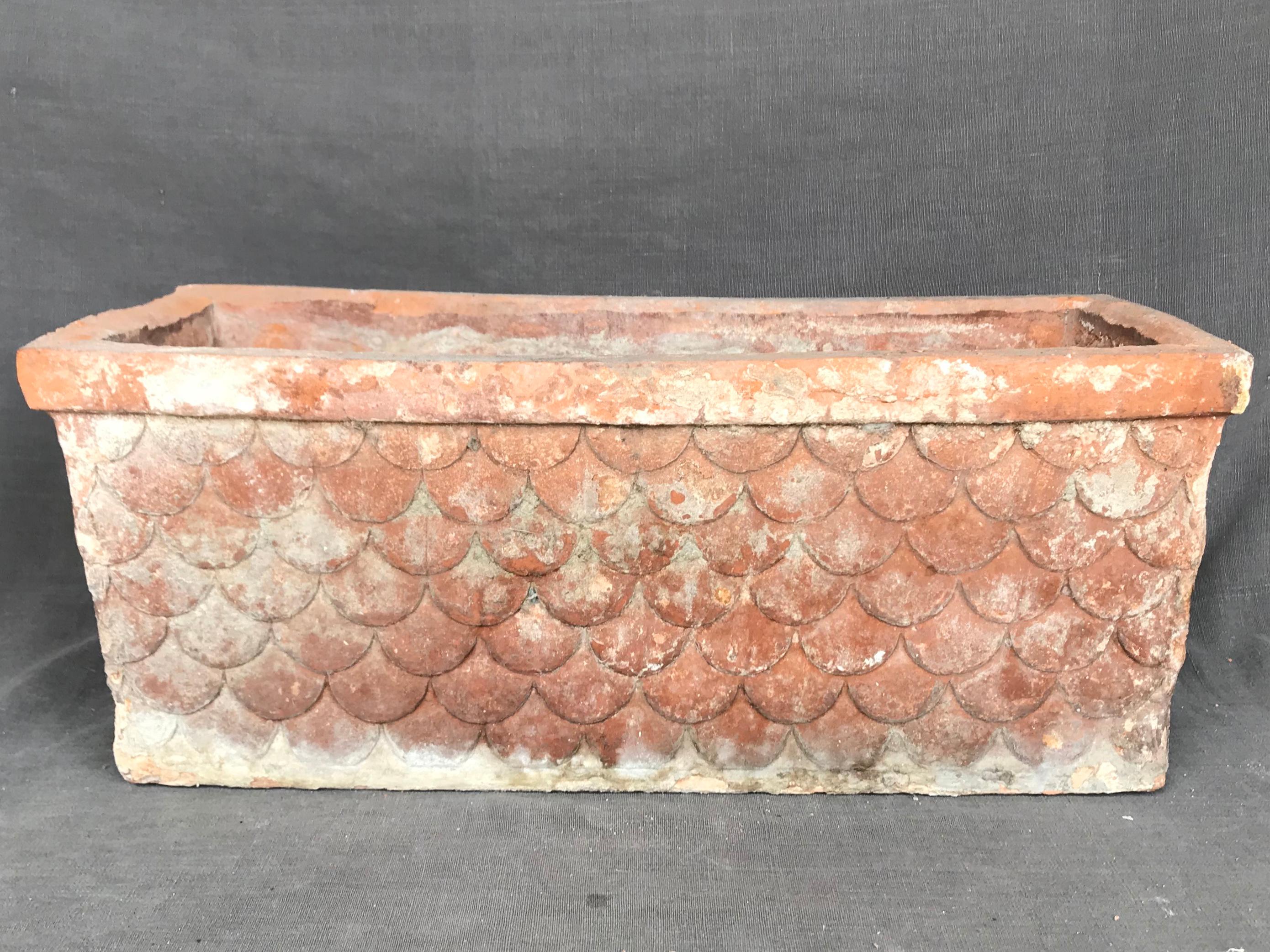 rectangle terracotta planter
