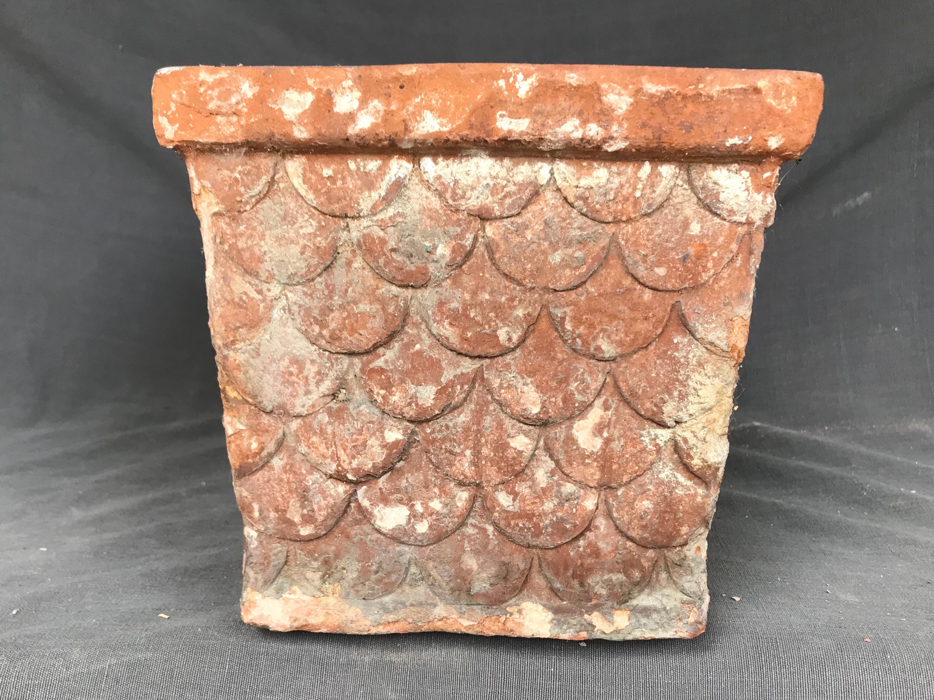 19th Century Italian Neoclassical Terracotta Planter