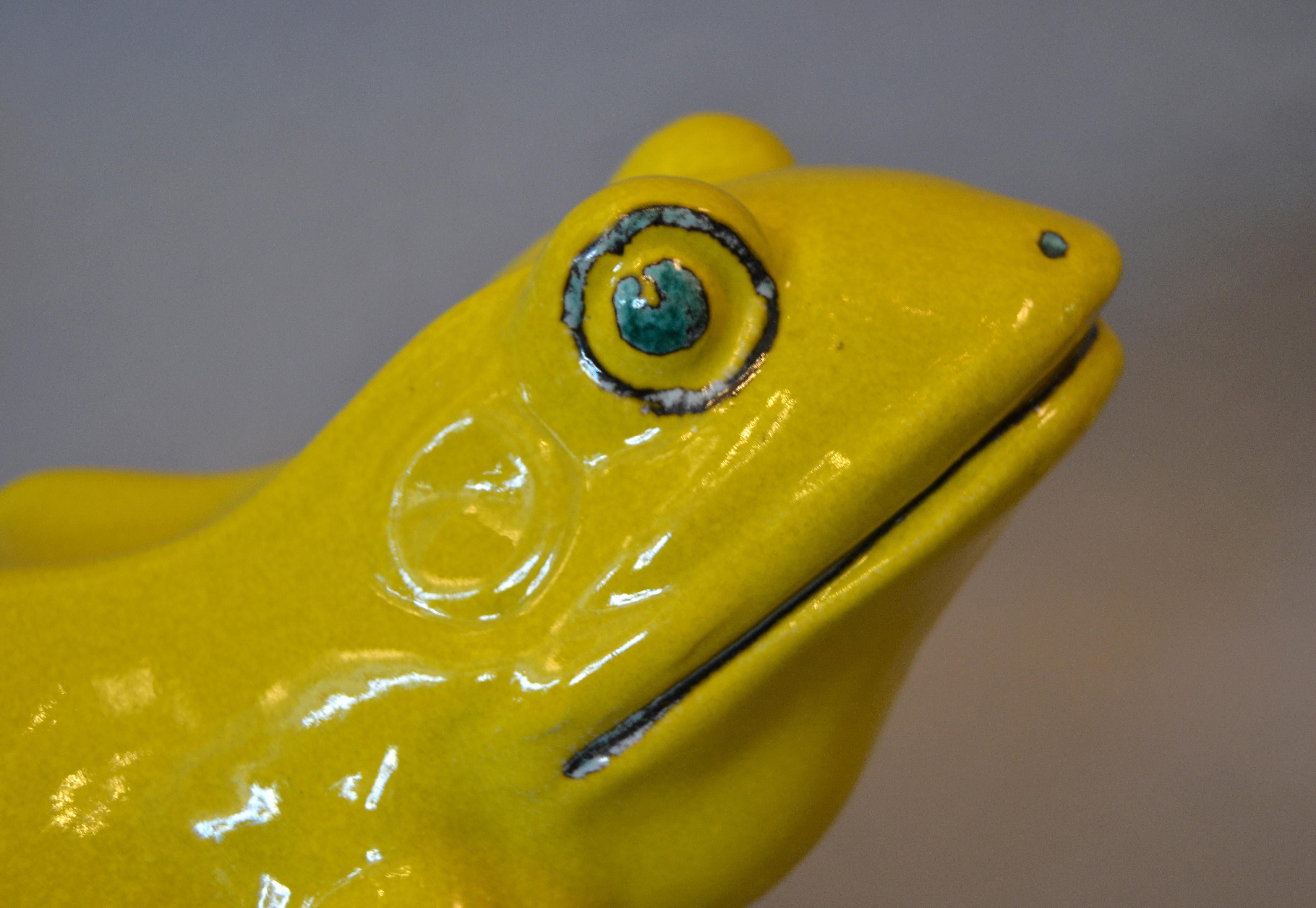 neon yellow frog