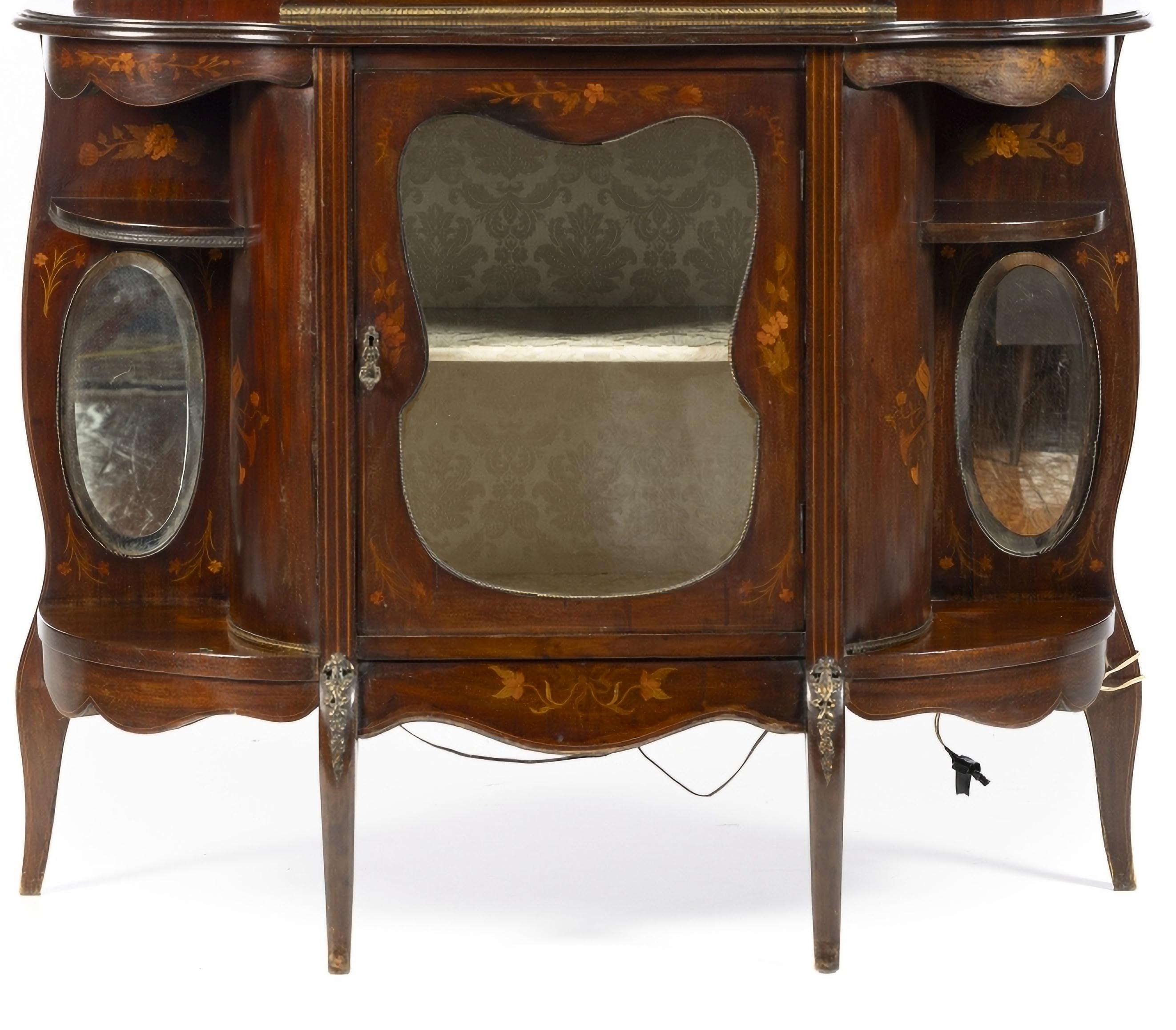 English Antique Victorian Mahogany Display Case 19th Century For Sale