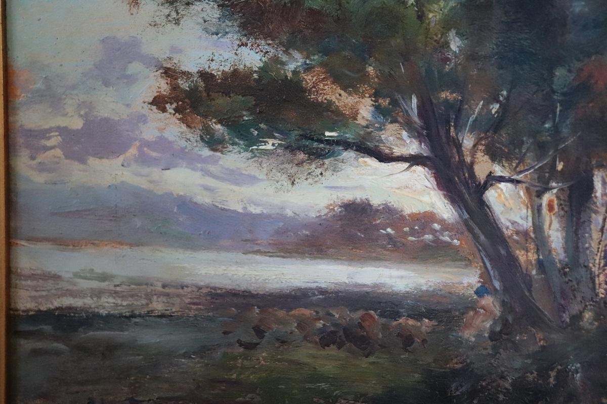 Italienisches Ölgemälde auf Karton, Landschaft von Ischia, signiert Ricciardi im Angebot 1