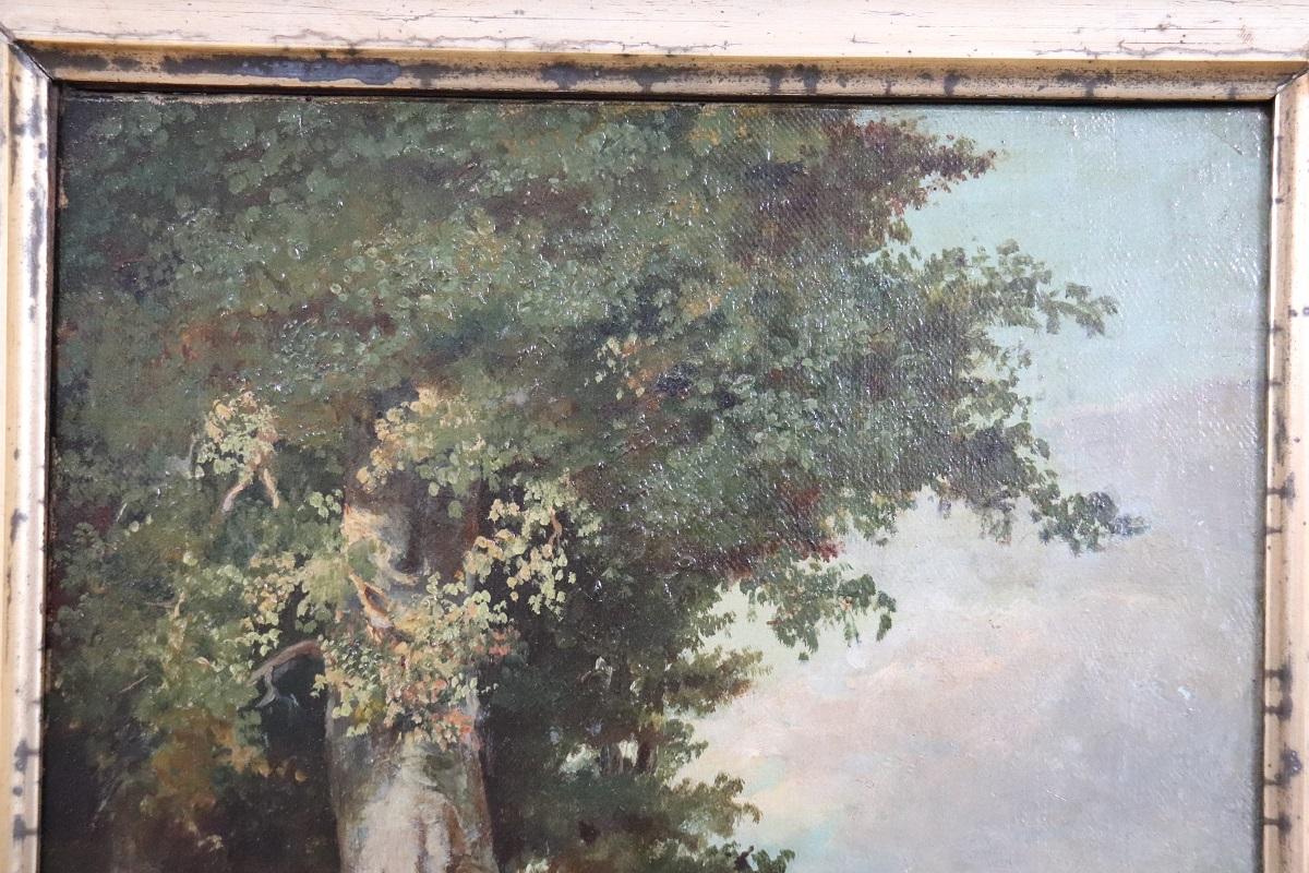 Pittura italiana a olio su tela Paesaggio boschivo, fine XIX secolo In condizioni buone in vendita a Casale Monferrato, IT