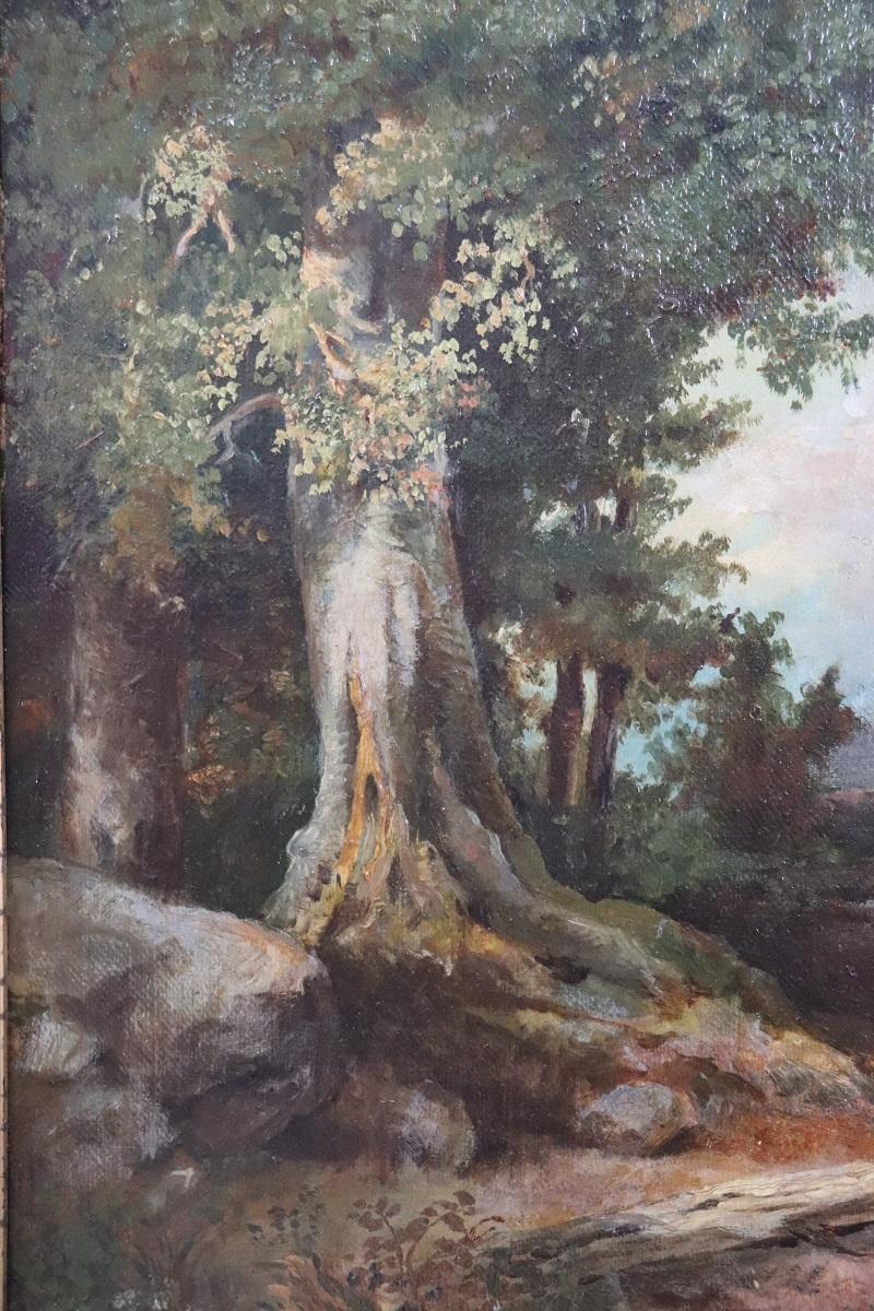 Pittura italiana a olio su tela Paesaggio boschivo, fine XIX secolo in vendita 1