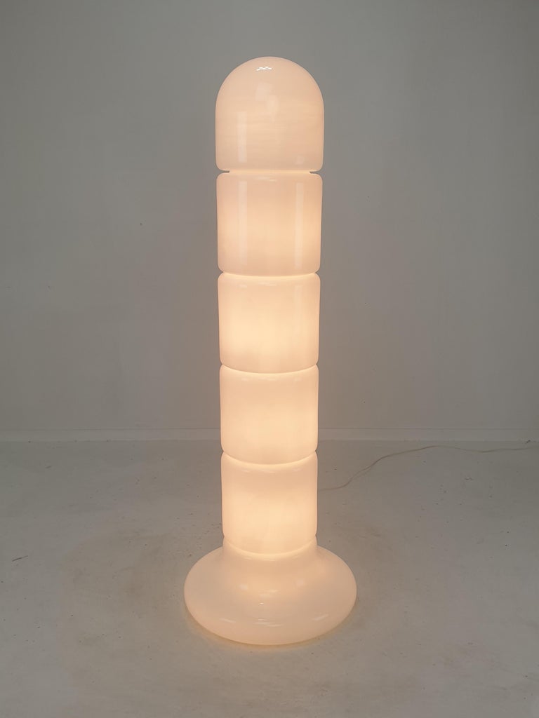 Italian Opaline Glass Zea Floor Lamp by Salocchi for Lumenform, 1970s For Sale 1