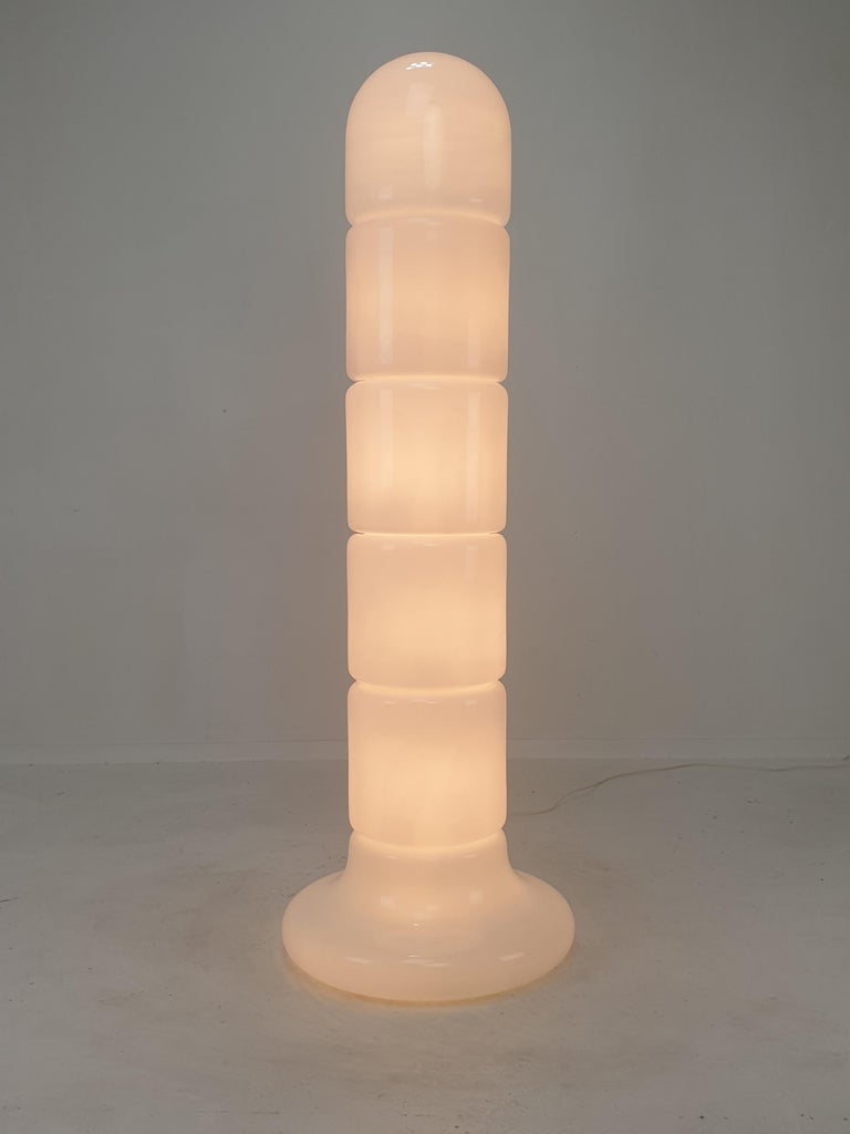Italian Opaline Glass Zea Floor Lamp by Salocchi for Lumenform, 1970s For Sale 2