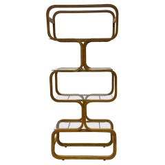 Italian Organic Form Mid-Century Modern Bentwood Bookshelf / Etagere by Plycraft