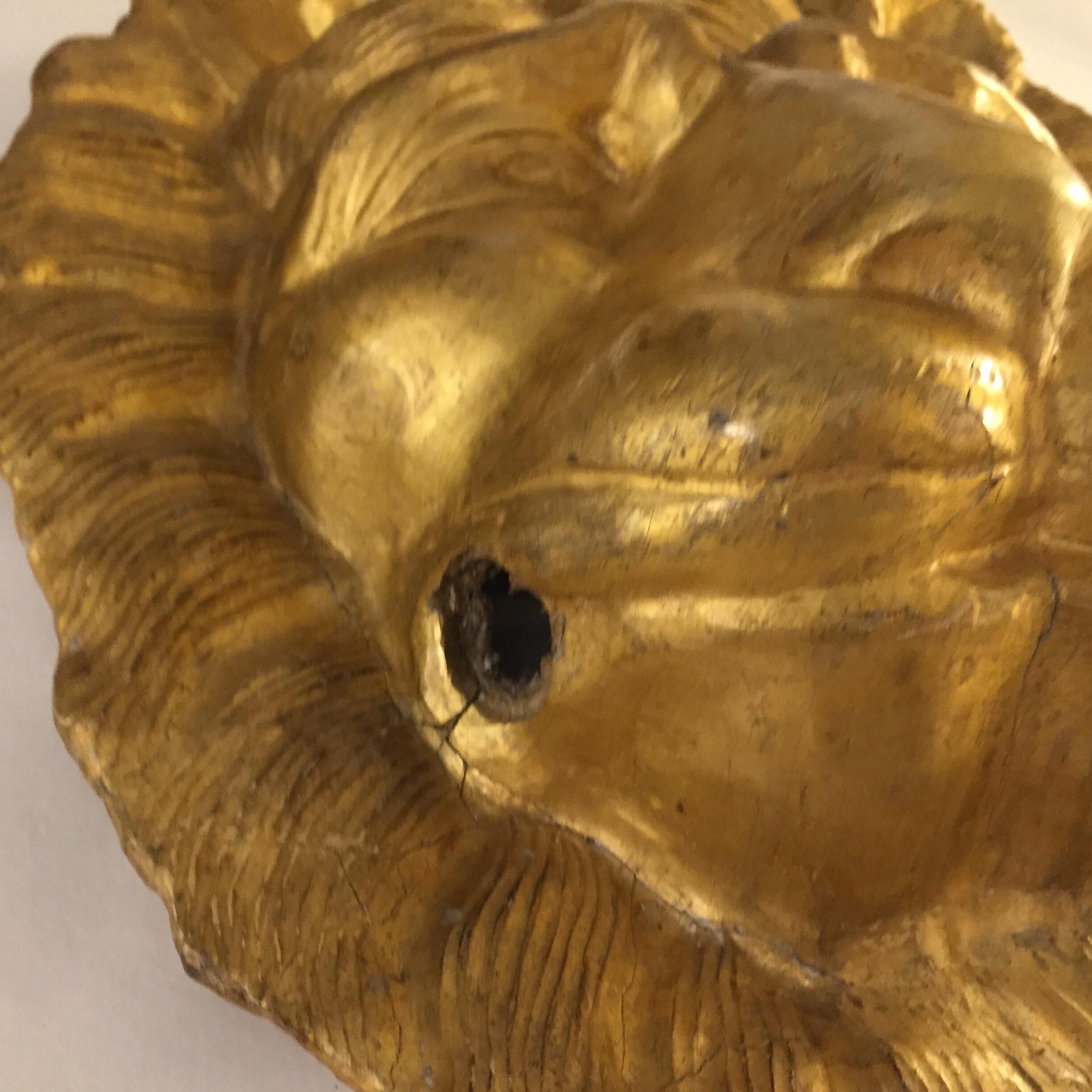 Mid-19th Century Pair of Italian Masks Gilded Lion Head Sculptures from Tuscany 6