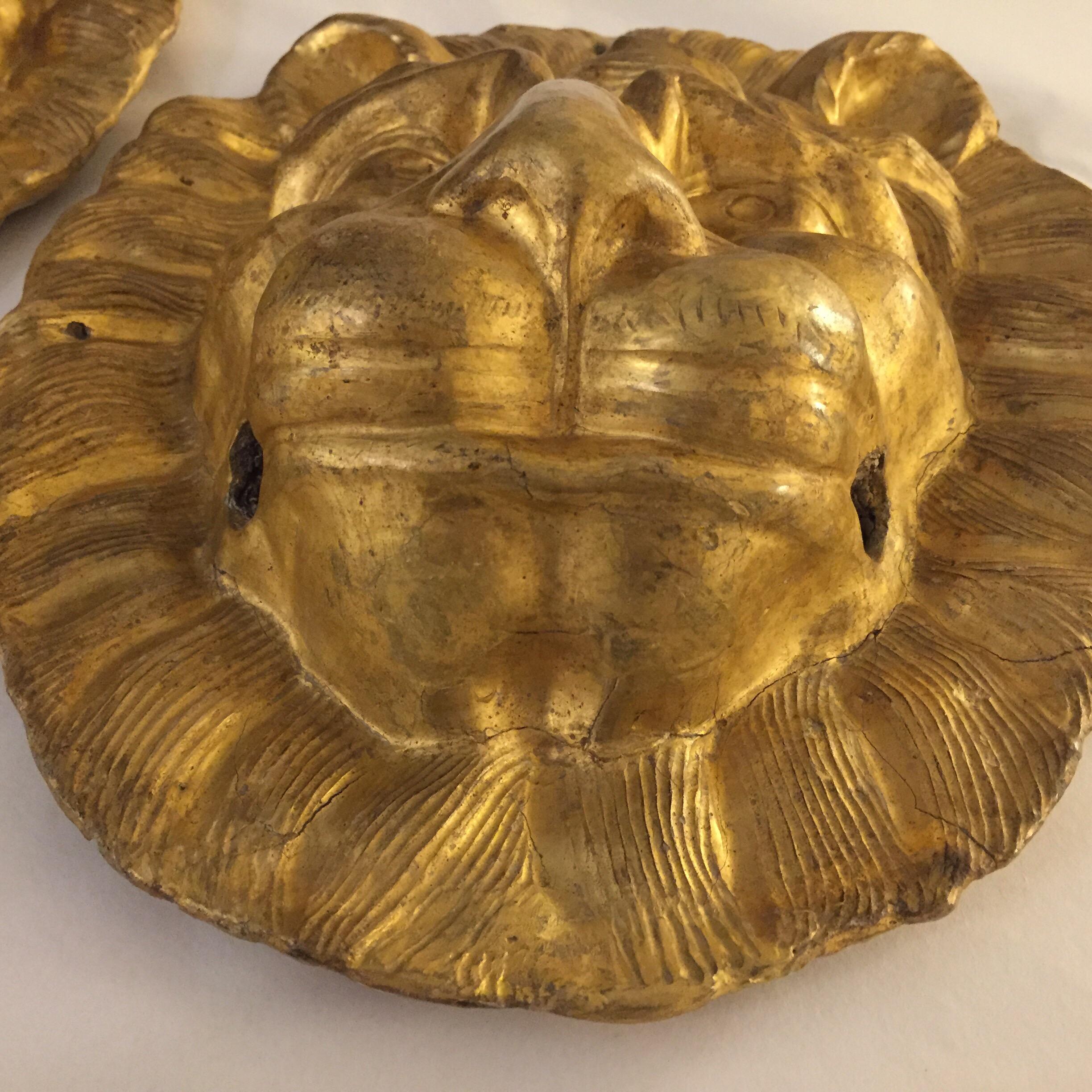 Mid-19th Century Pair of Italian Masks Gilded Lion Head Sculptures from Tuscany 9