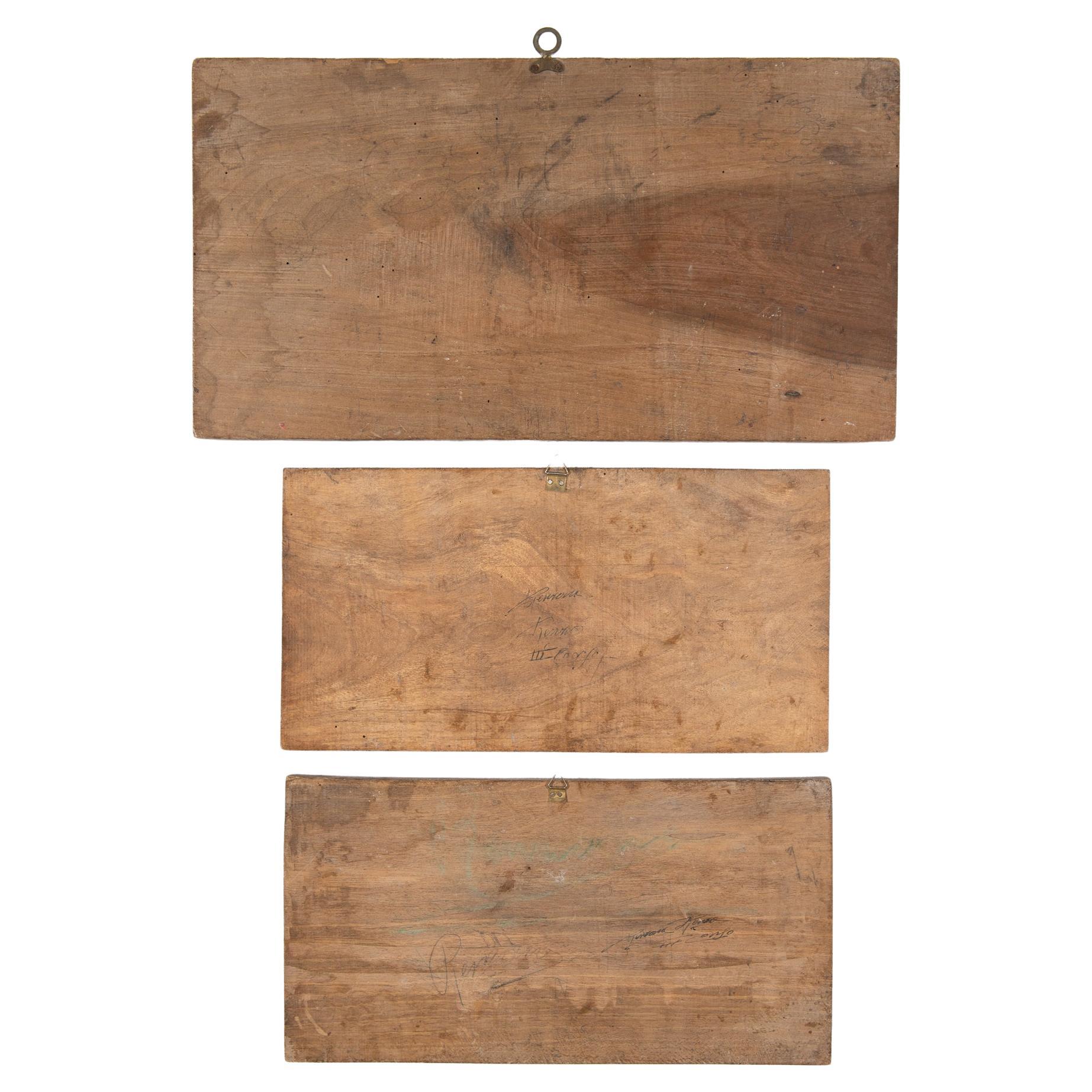 Italian panels engraved on wood.  They were made in carpentry schools as an exam test.  They can be hung or used by inserting them into a piece of furniture. 
Different sizes, but I cannot write because 1stdibs deletes numbers.


