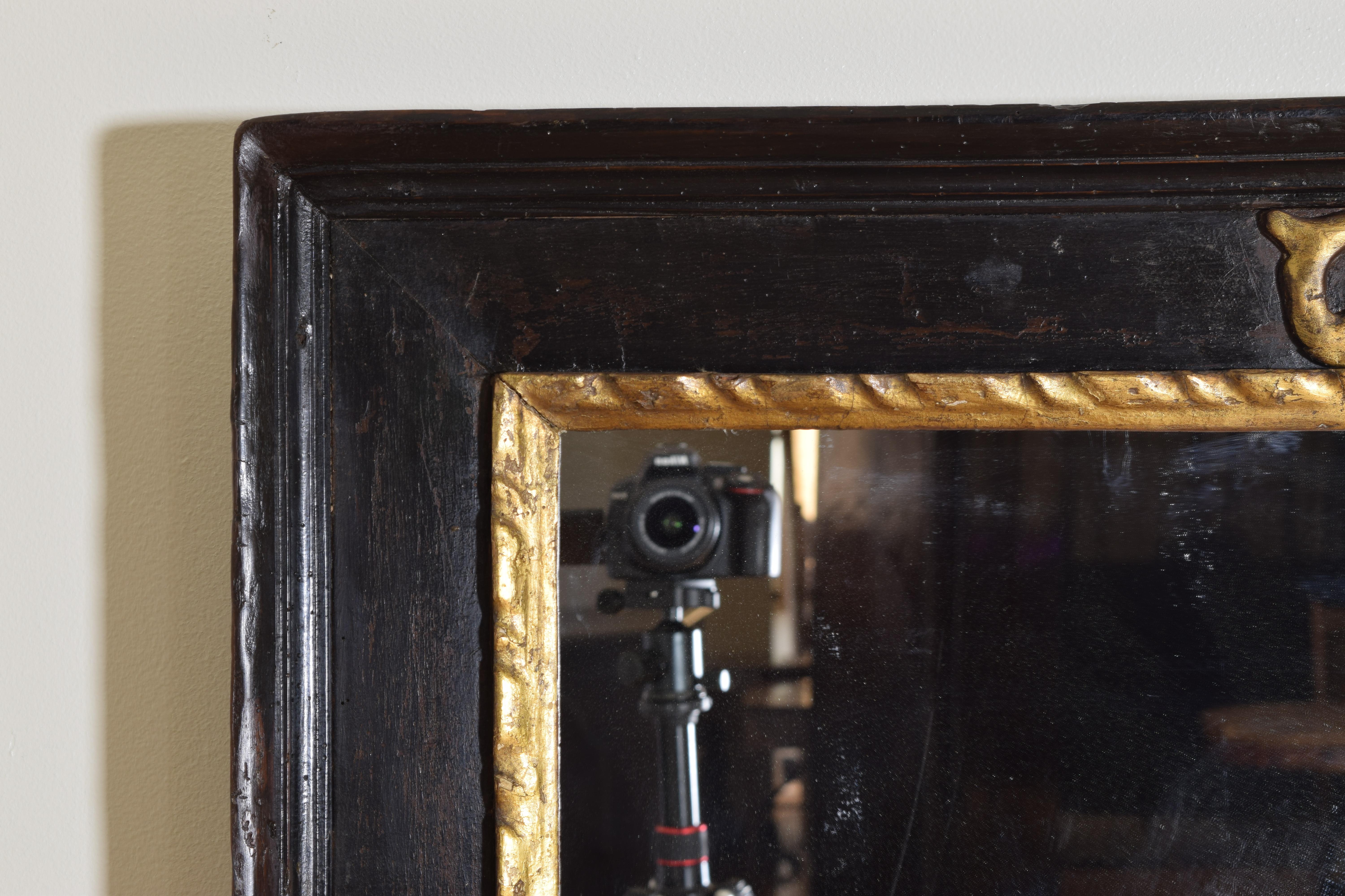 18th Century Italian Piemonte LXIV Period Carved Giltwood & Ebonized Mirror Early 18thCentury For Sale
