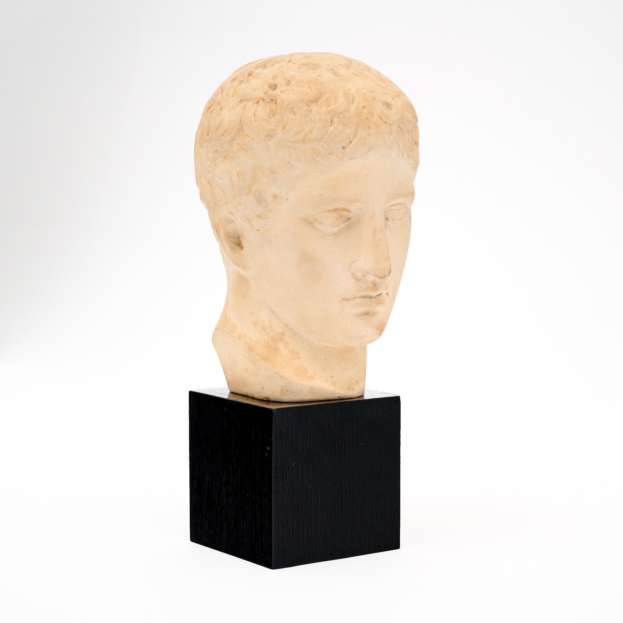 Buste italien en plâtre à l'origine par Polykleitos Bon état - En vente à Austin, TX