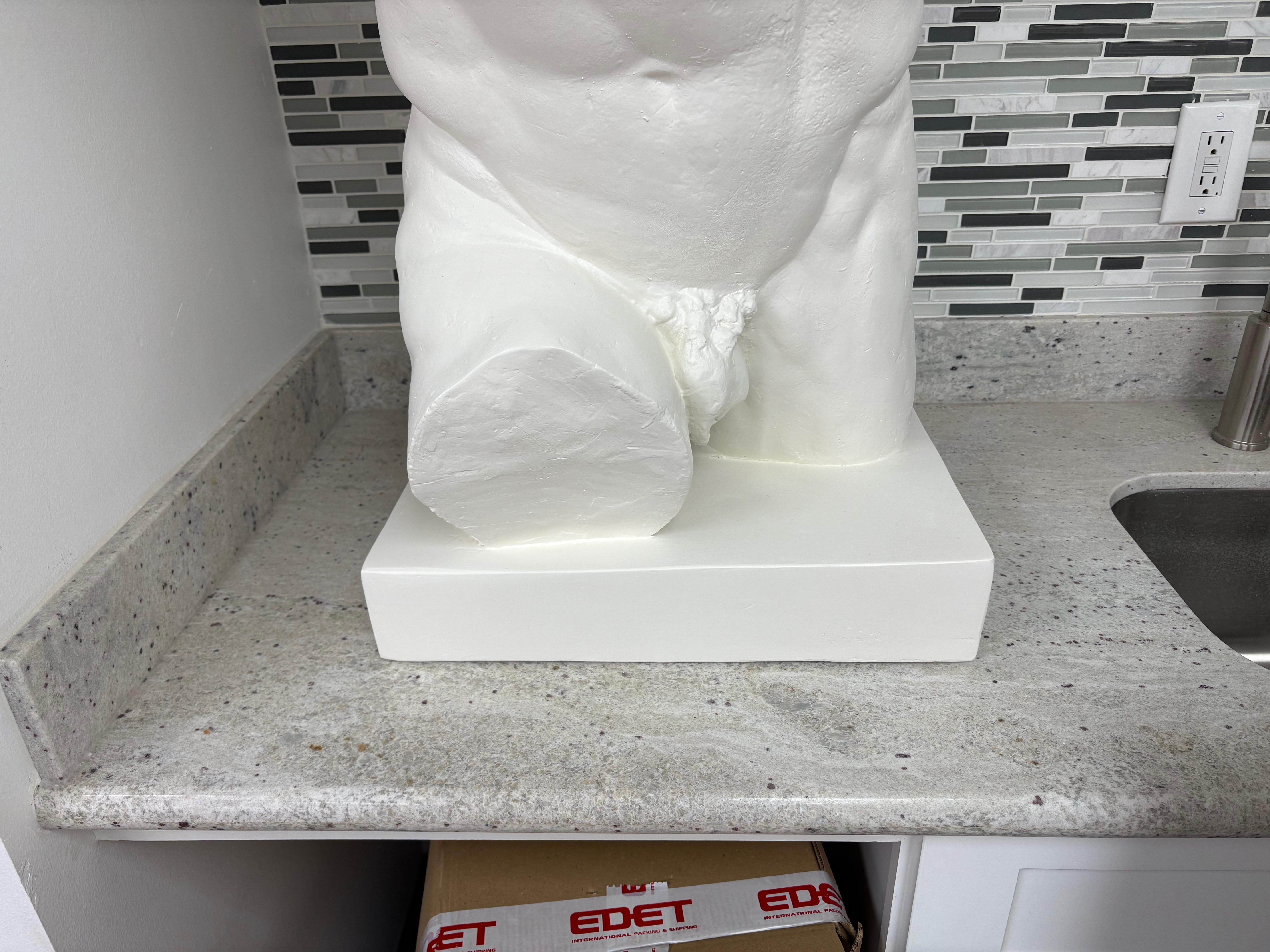 Scultura italiana in gesso di torso maschile di un atleta classico in vendita 8