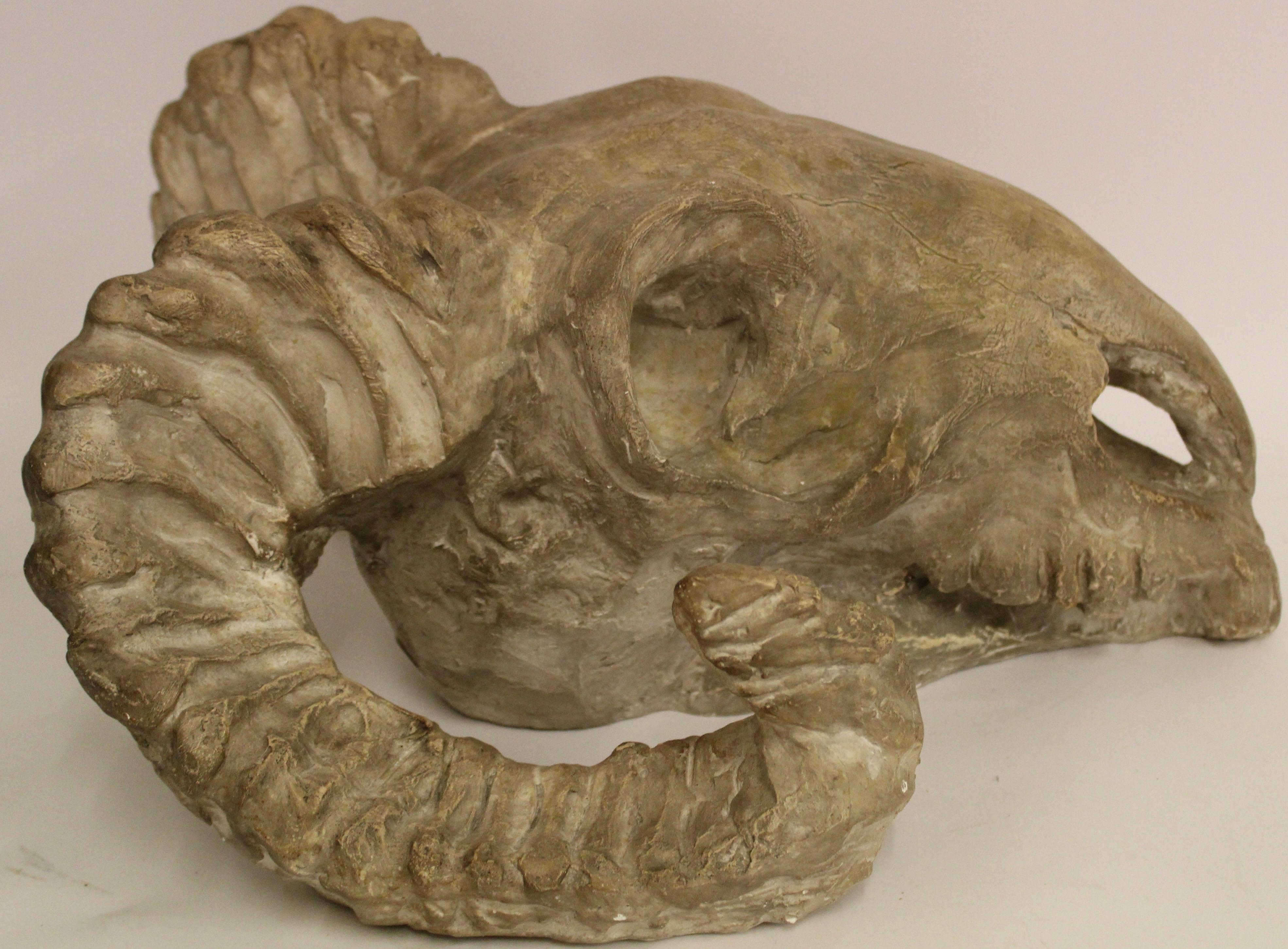 A 1930s Italian plaster ram's head skull. Complete with large curling ridged horns, the plaster with a darker, aged patina giving the skull a 'lifelike' quality. This would have been a studio piece, which meant that it was made as a maquette before