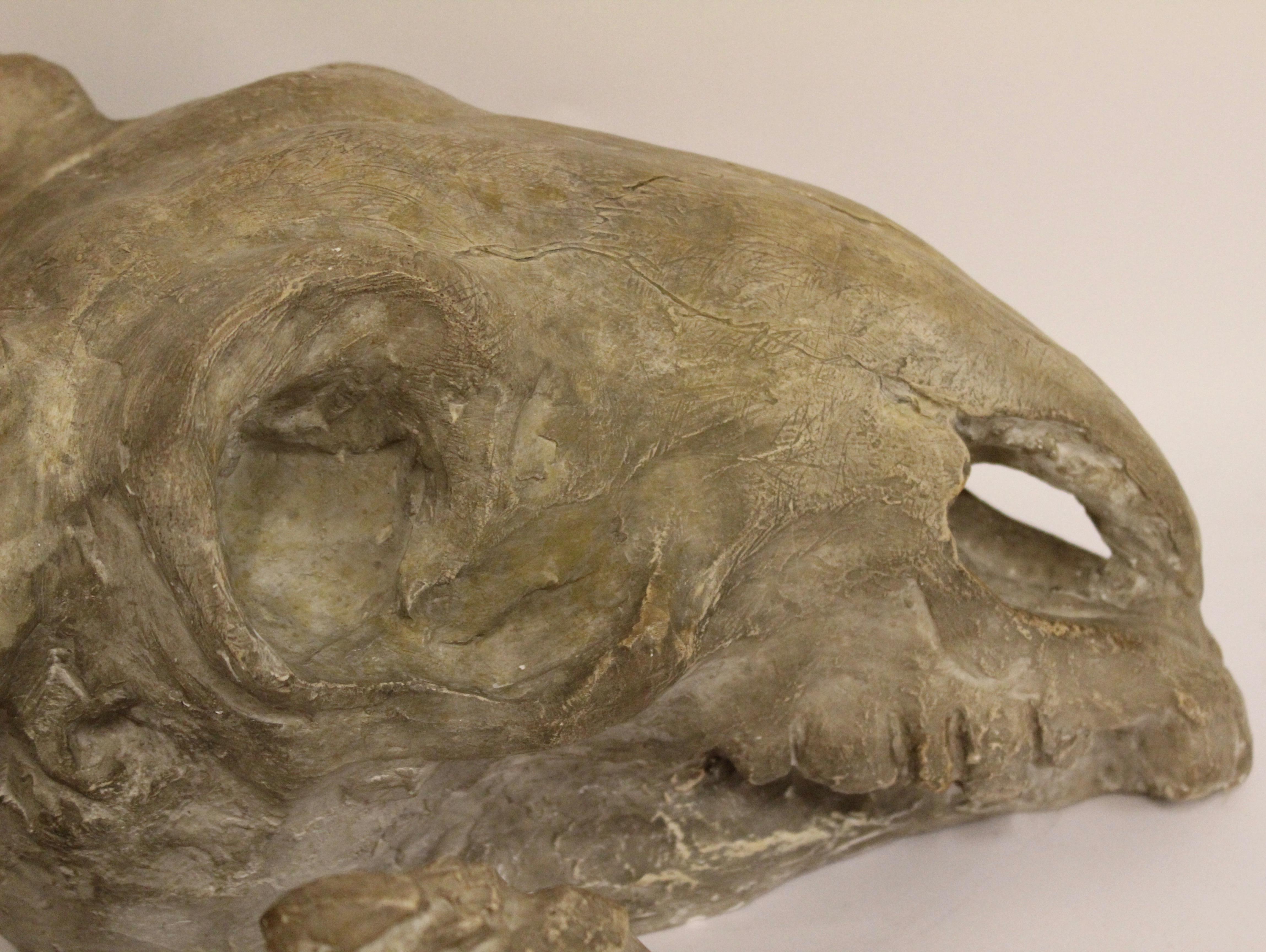 Italian Plaster Rams Head Skull, circa 1930 In Good Condition For Sale In London, GB