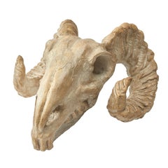 Italian Plaster Rams Head Skull, circa 1930