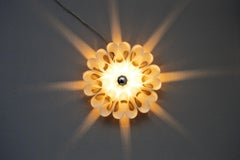 Italian Plexiglass or Acrylic POP Flower Wall Sconce, 1970s
