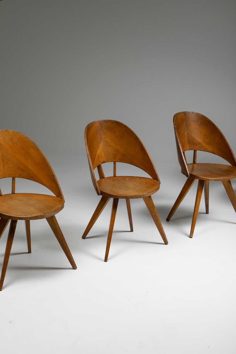 Italian Plywood Dining Chairs, 1940s 4