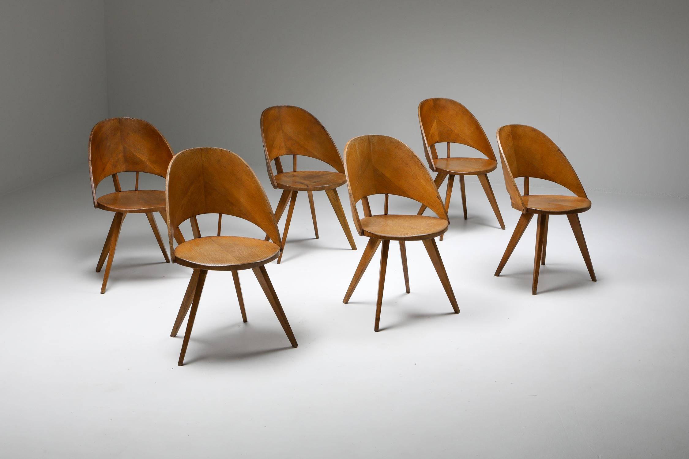 Italian Plywood Dining Chairs, 1940s In Good Condition For Sale In Antwerp, BE