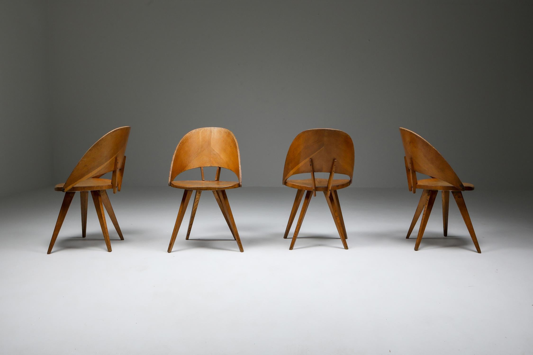 Mid-20th Century Italian Plywood Dining Chairs, 1940s For Sale
