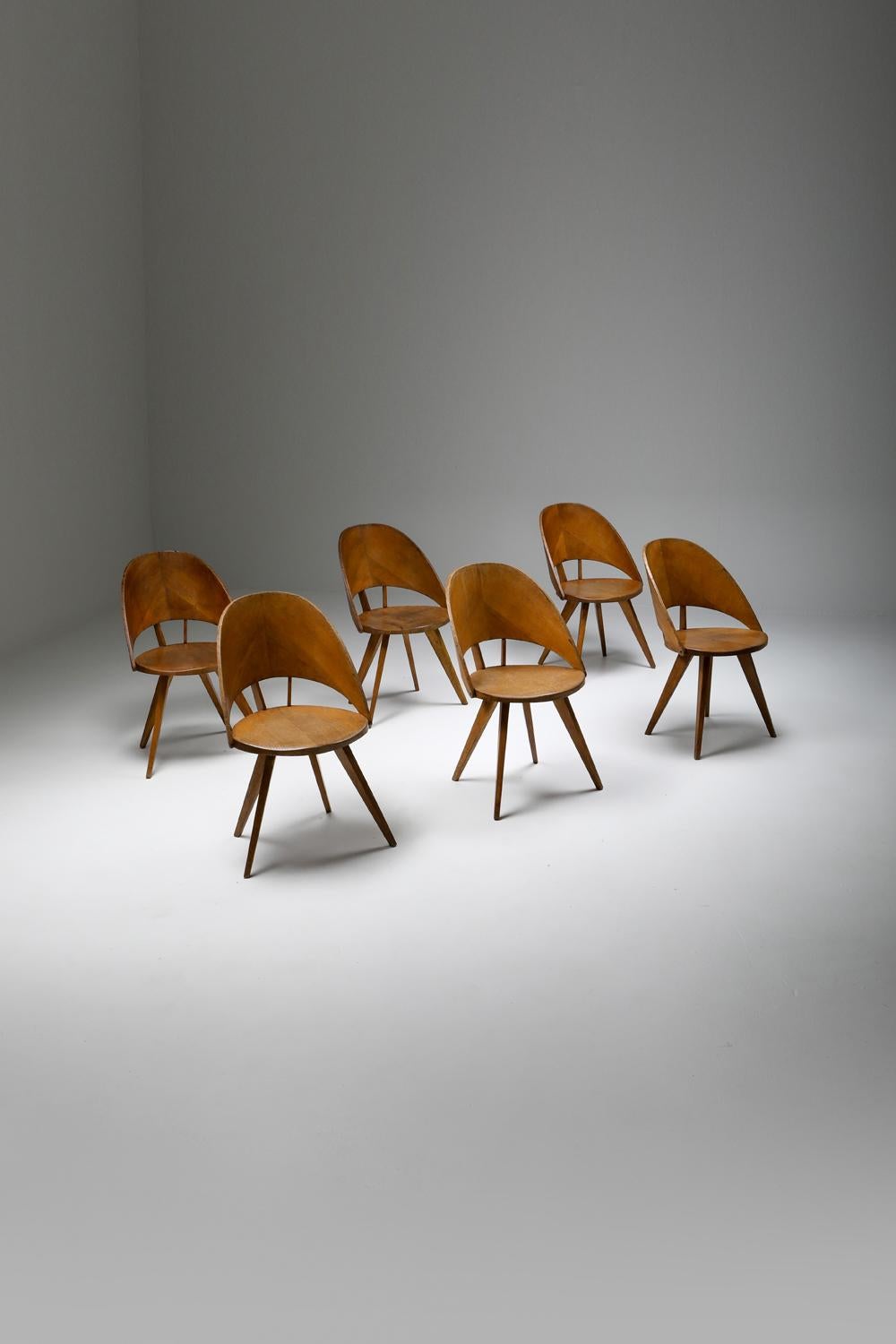 Italian Plywood Dining Chairs, 1940s 2