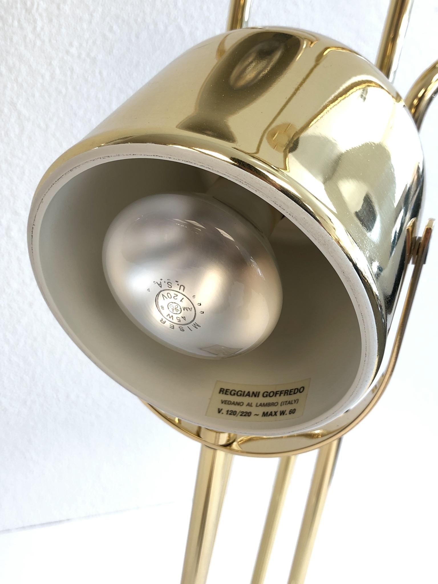 Italian Polish Brass Floor Lamp by Goffredo Reggiani For Sale 1
