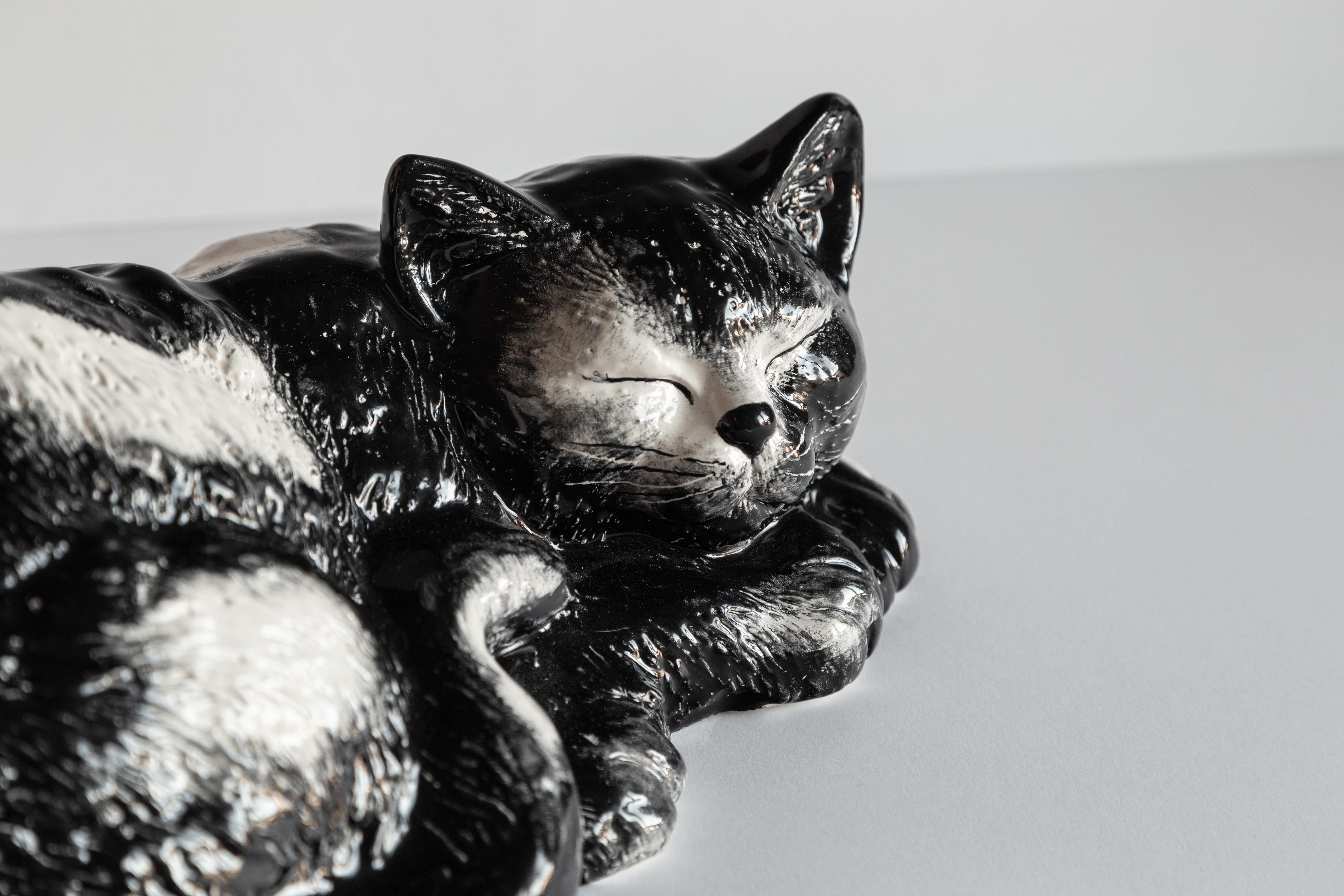 Contemporary Italian Porcelain Cat Romolo by Vito Nesta For Sale