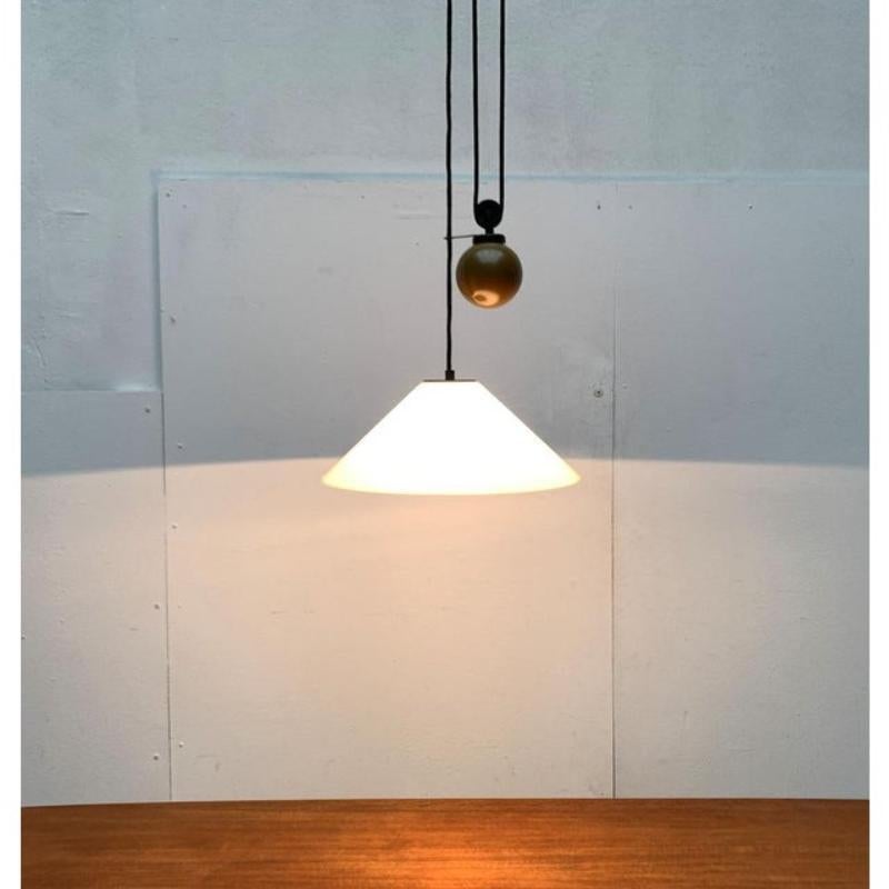 Italian Postmodern Aggregato Pendant Lamp by Enzo Mari & Giancarlo Fassina 1970s For Sale 4