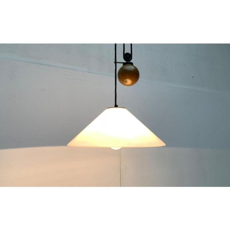 Italian Postmodern Aggregato Pendant Lamp by Enzo Mari & Giancarlo Fassina 1970s For Sale 1