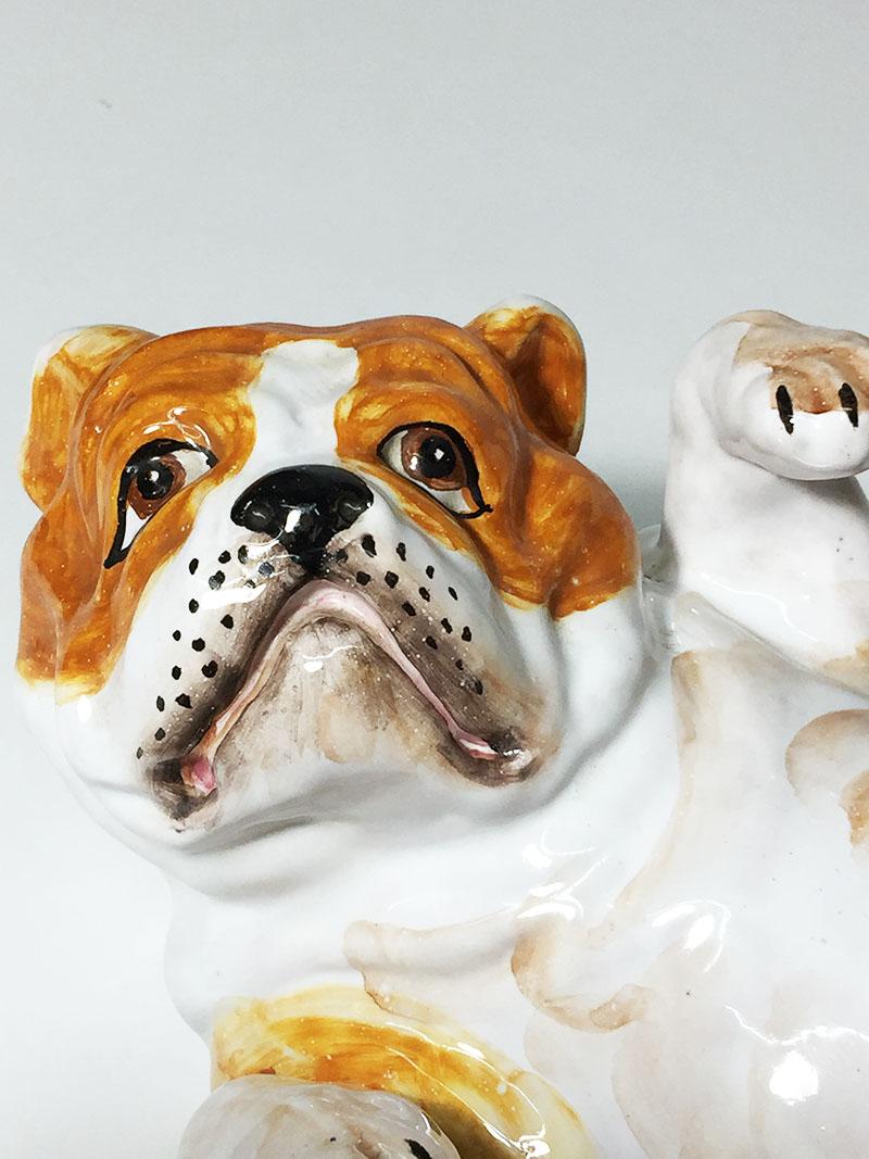 Italian Pottery Bulldog figurine

A Bulldog laying on the back with paws up
Marked Italy A81, inside, 20th century
The measurements are 10,5 cm high, 25 cm wide and the depth is 15 cm
The weight is 1475 gram.