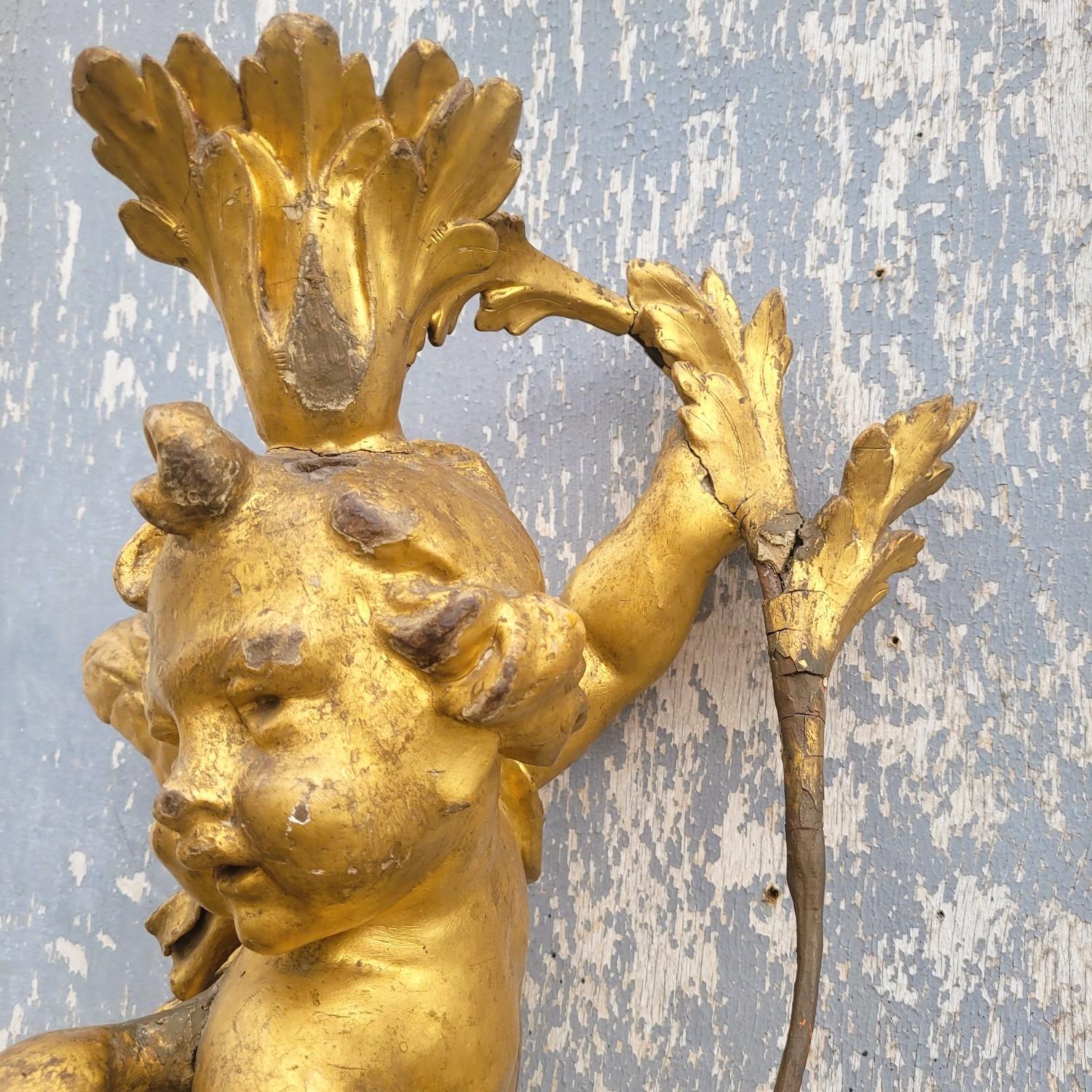 Beautiful sculpture representing a chubby putto in gilded wood, with wings, a branch ending above his head. 

Italian work from the 18th century  

Iron hook on the back, some missing parts and wear   

Height 55cm  
47 x 24cm approximately