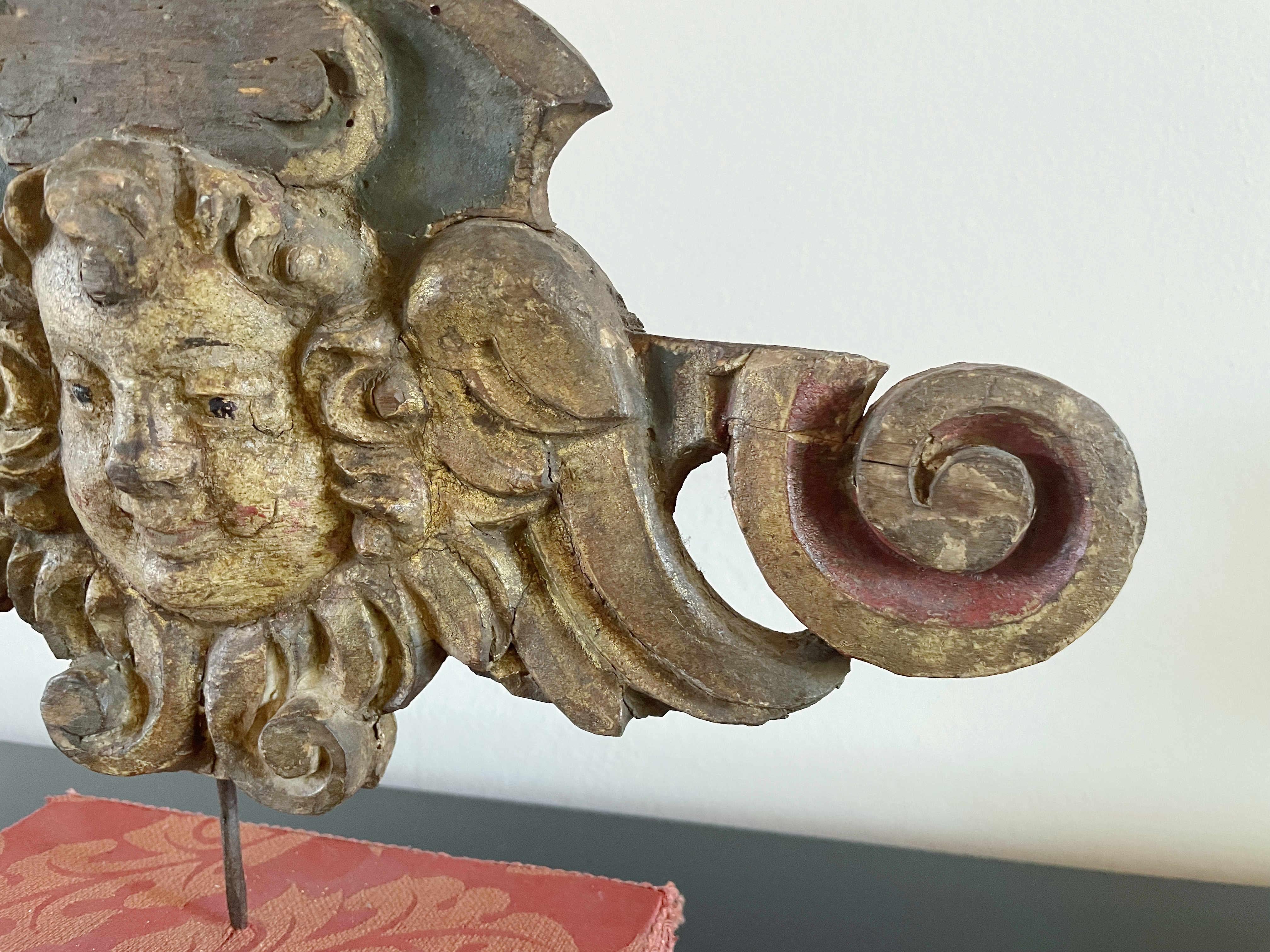 Testa di angelo in legno intagliato del Rinascimento italiano in vendita 4