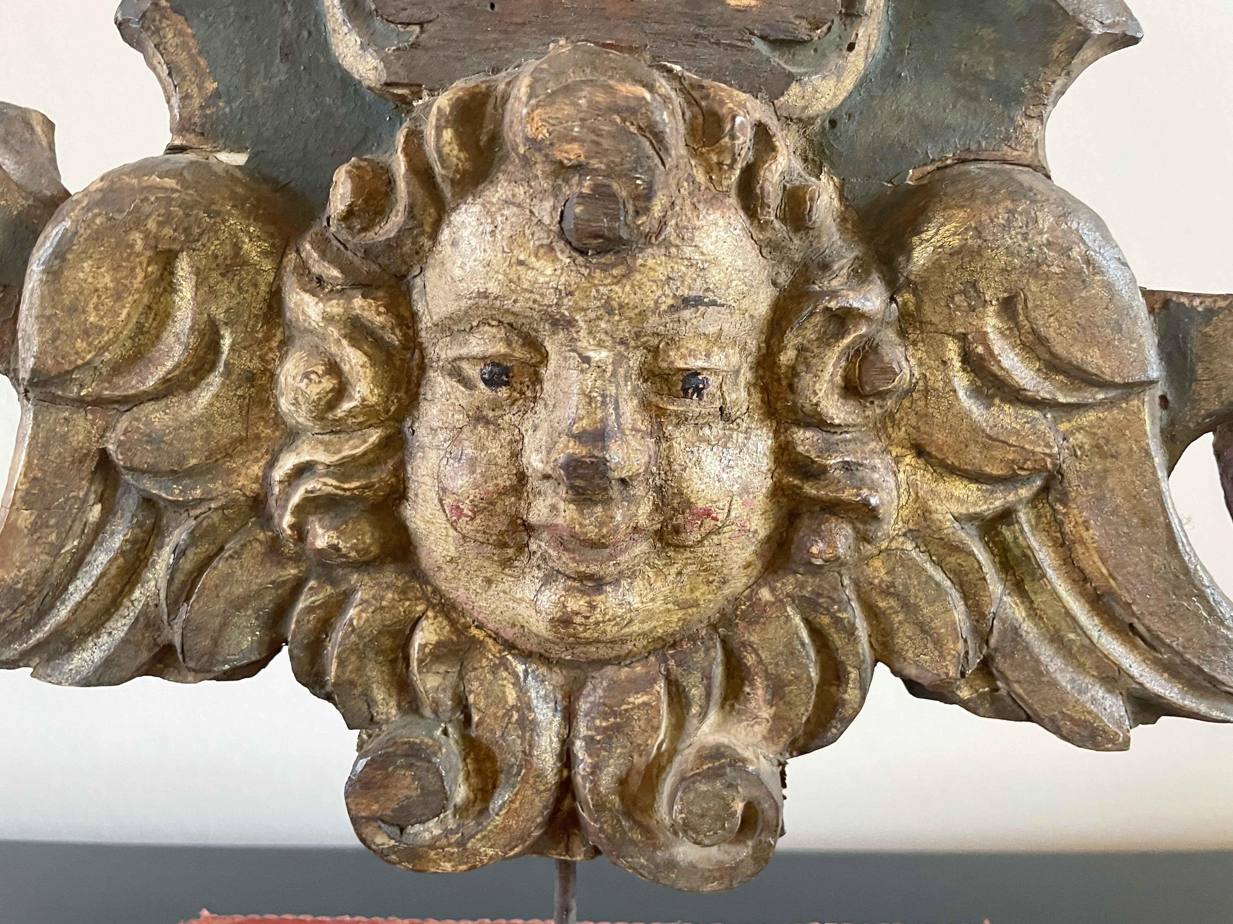 Testa di angelo in legno intagliato del Rinascimento italiano in vendita 5