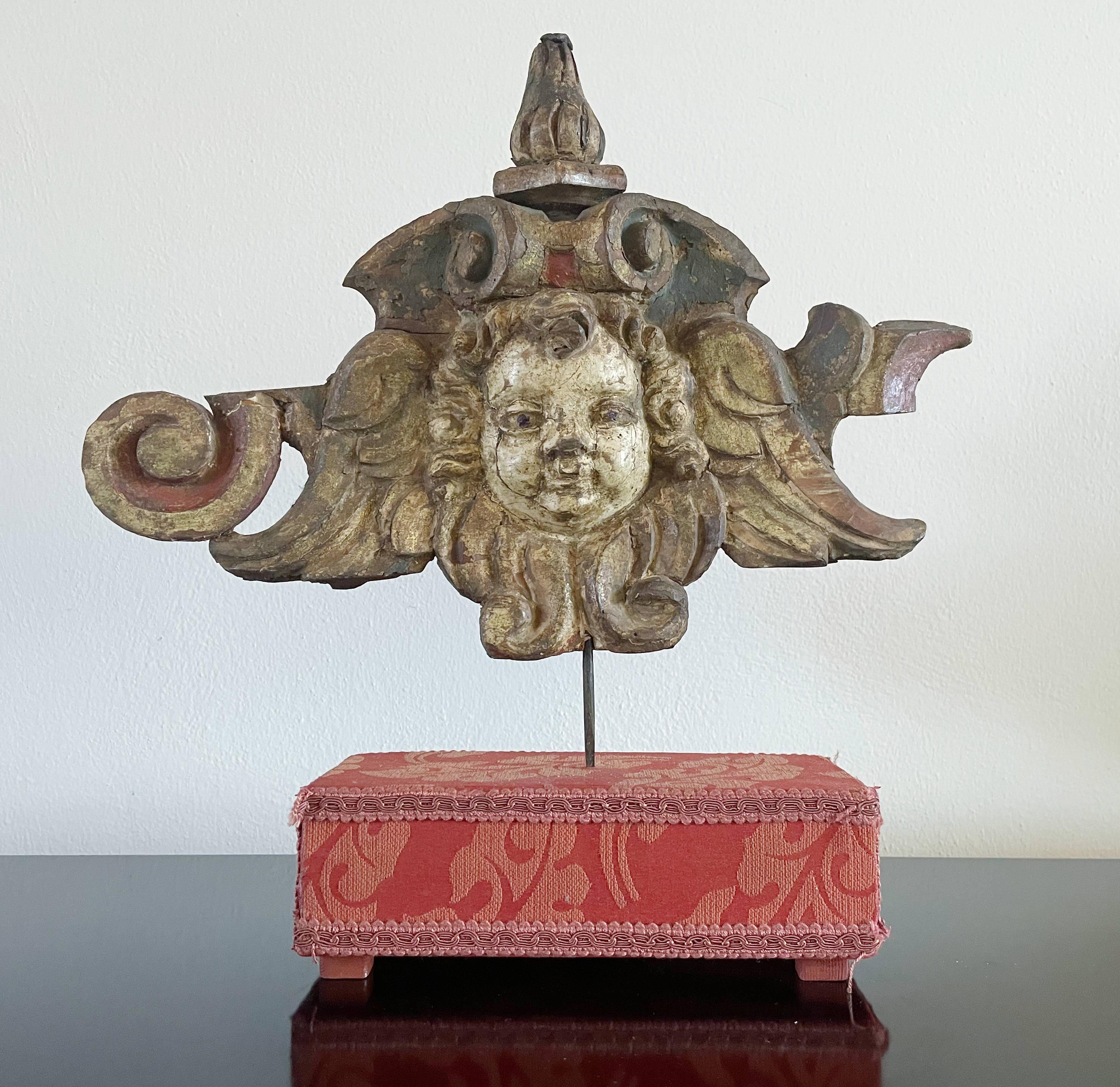 Italiano Testa di angelo in legno intagliato del Rinascimento italiano in vendita