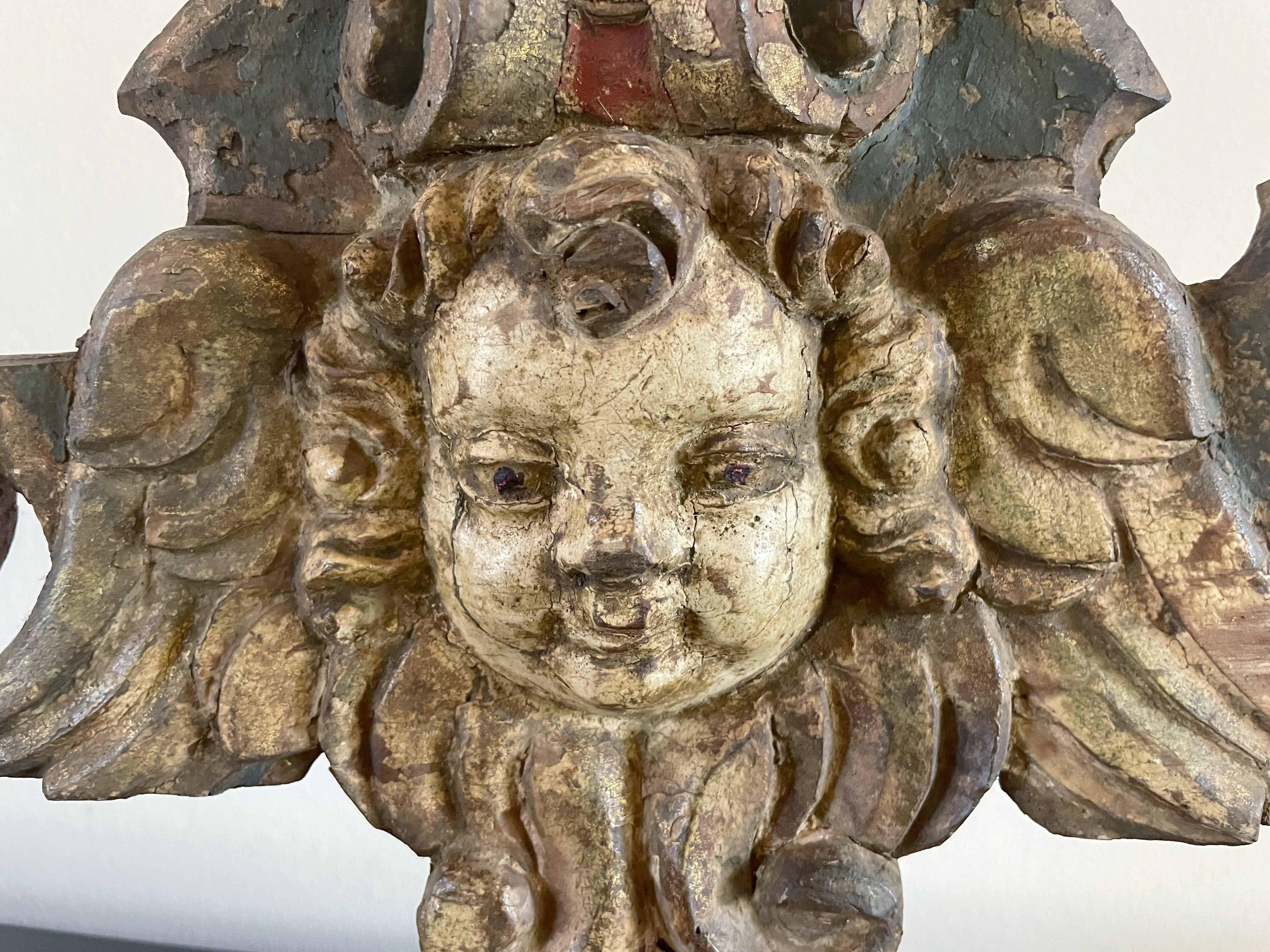 Testa di angelo in legno intagliato del Rinascimento italiano in vendita 1