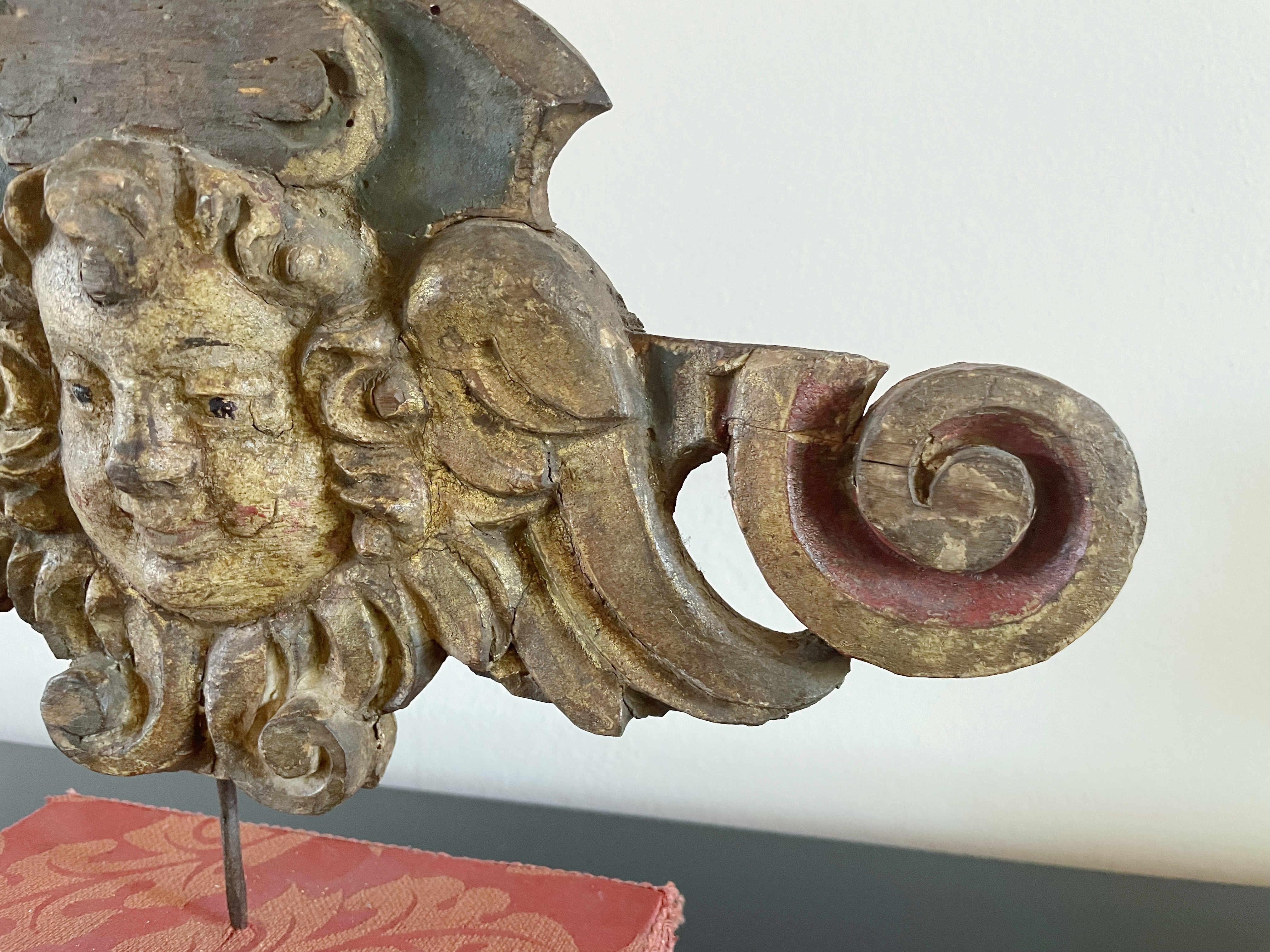 Tête d'ange en bois sculpté de la Renaissance italienne en vente 4
