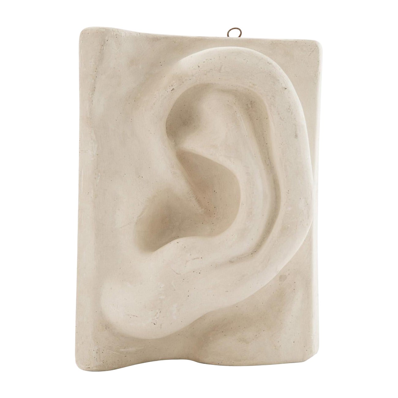 Italian Renaissance Michelangelo
s "David" Plaster Ear Detail