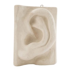 Italian Renaissance Michelangelo's "David" Plaster Ear Detail