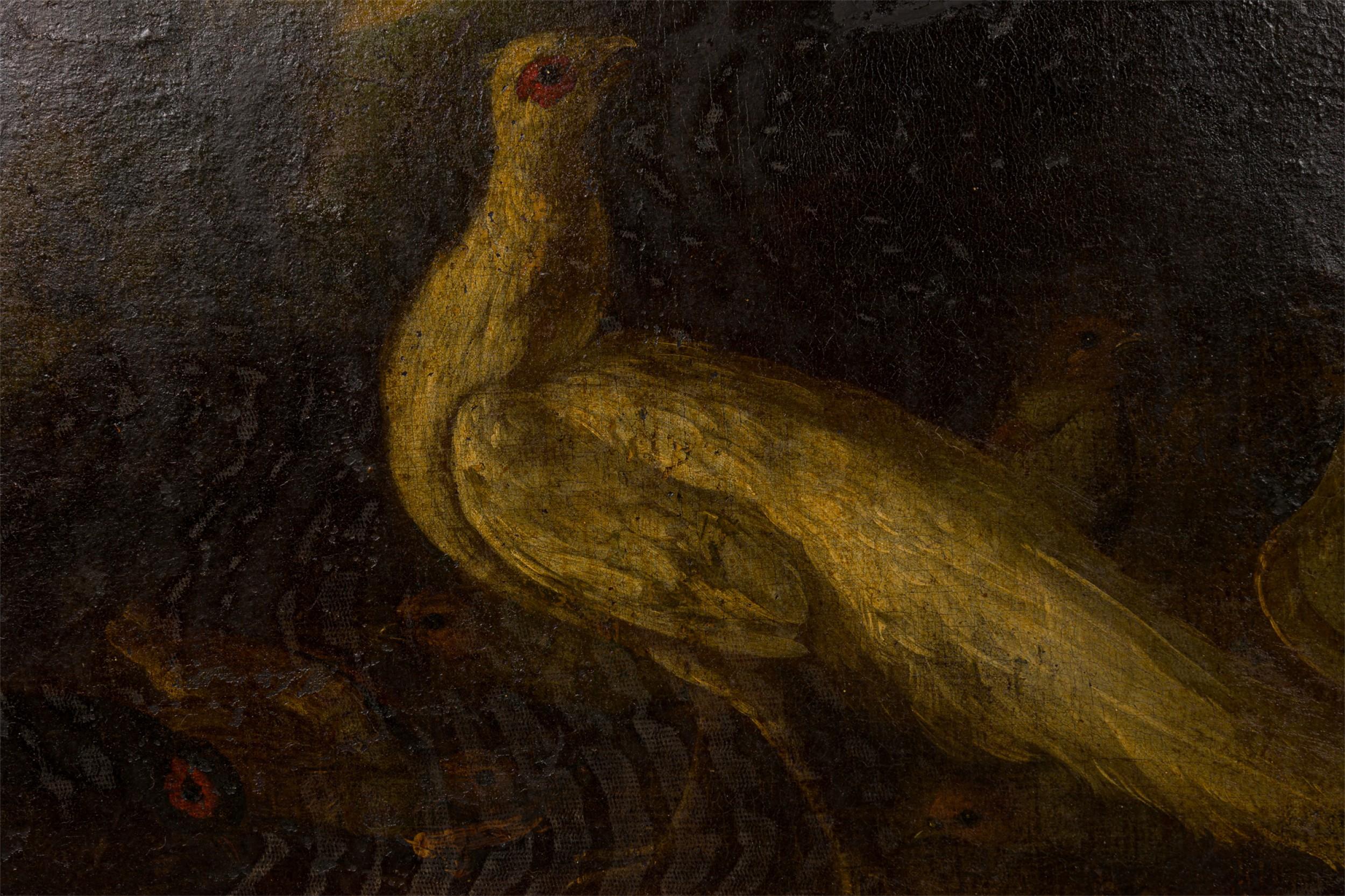 Peinture à l'huile italienne de style Renaissance représentant un paon blanc et d'autres oiseaux dans un cadre Bon état - En vente à New York, NY