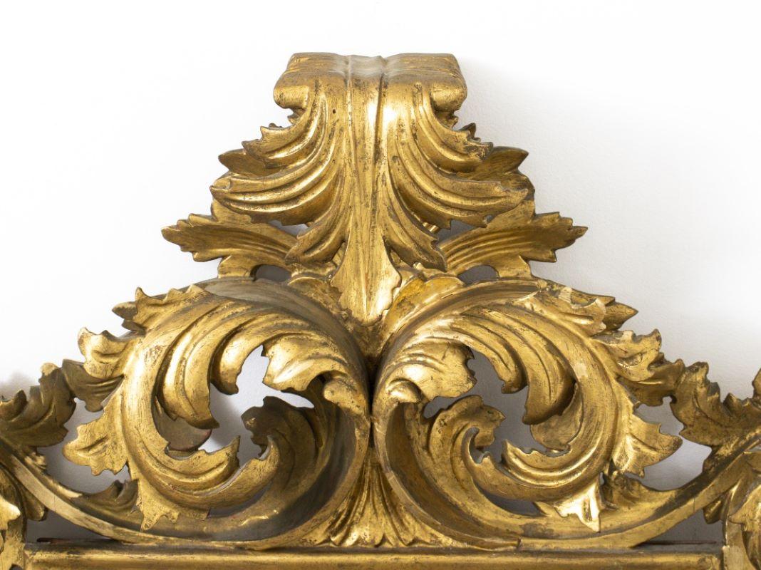 Miroir en bois doré de style rococo italien, avec des plumes dorées sculptées en haut-relief. 47