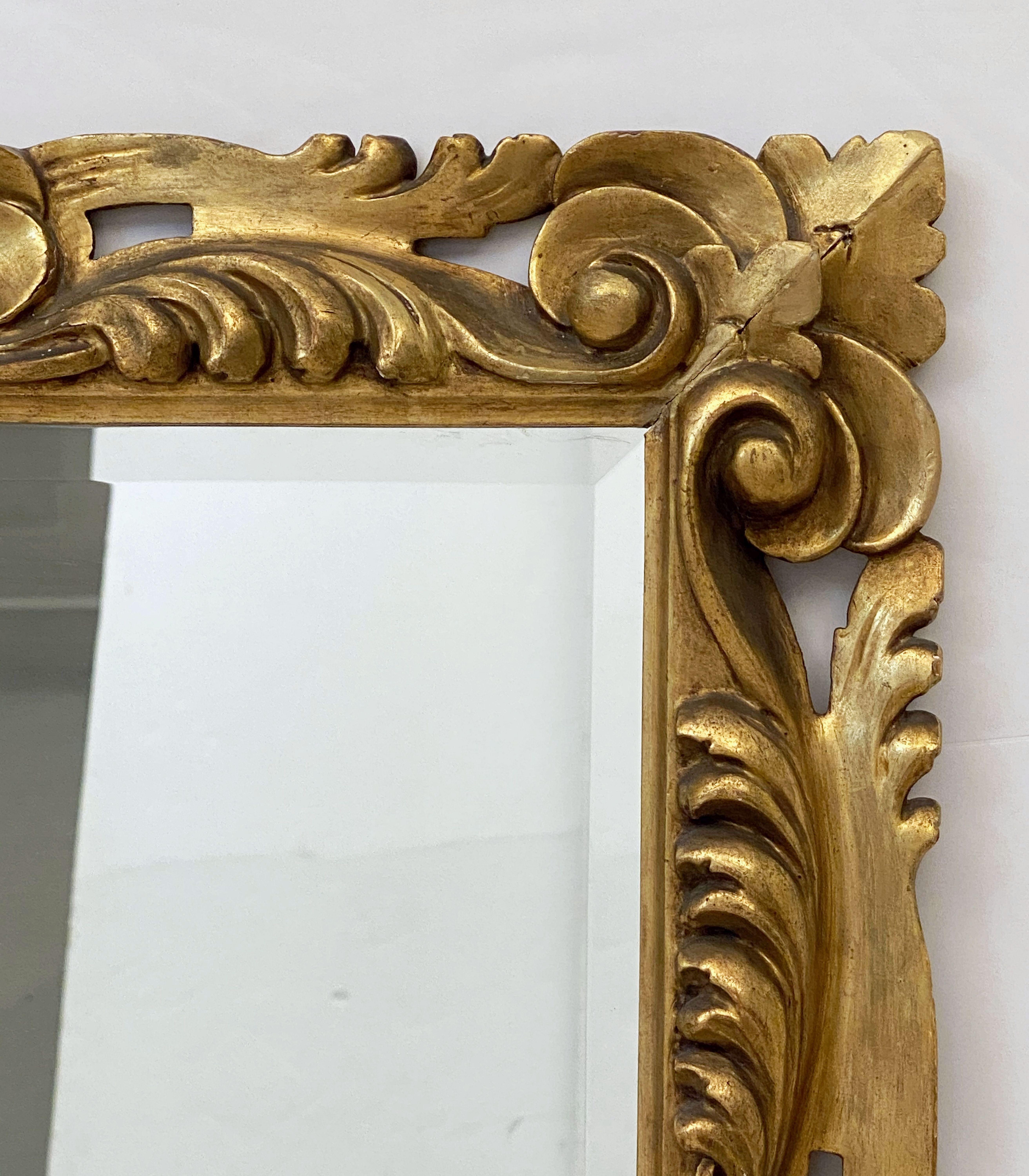 Miroir rectangulaire biseauté italien avec cadre sculpté rococo doré (H 29 x L 23) en vente 2