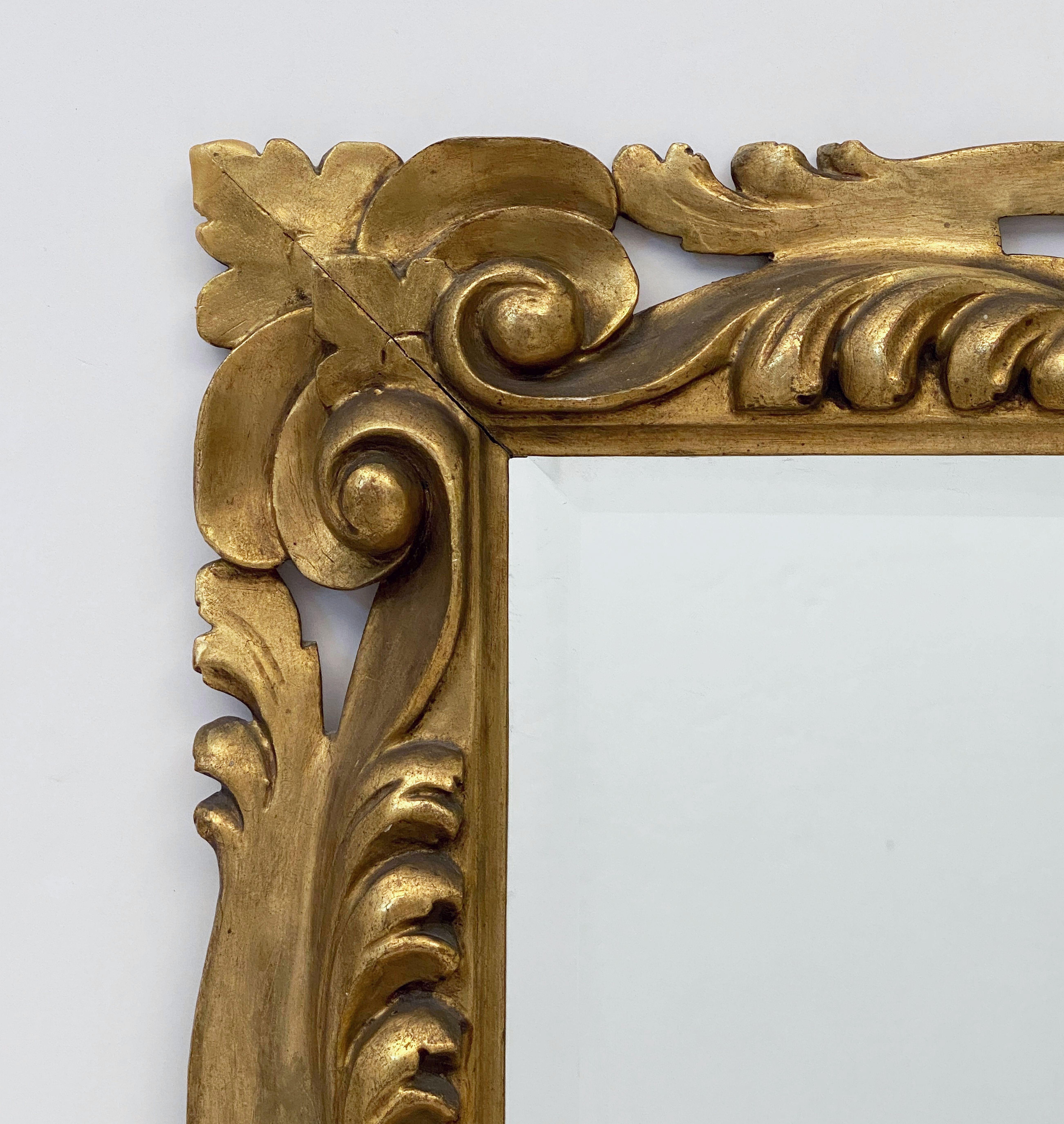 Italian Rococo Rectangular Beveled Mirror with Carved Gilt Frame (H 29 x W 23) For Sale 1
