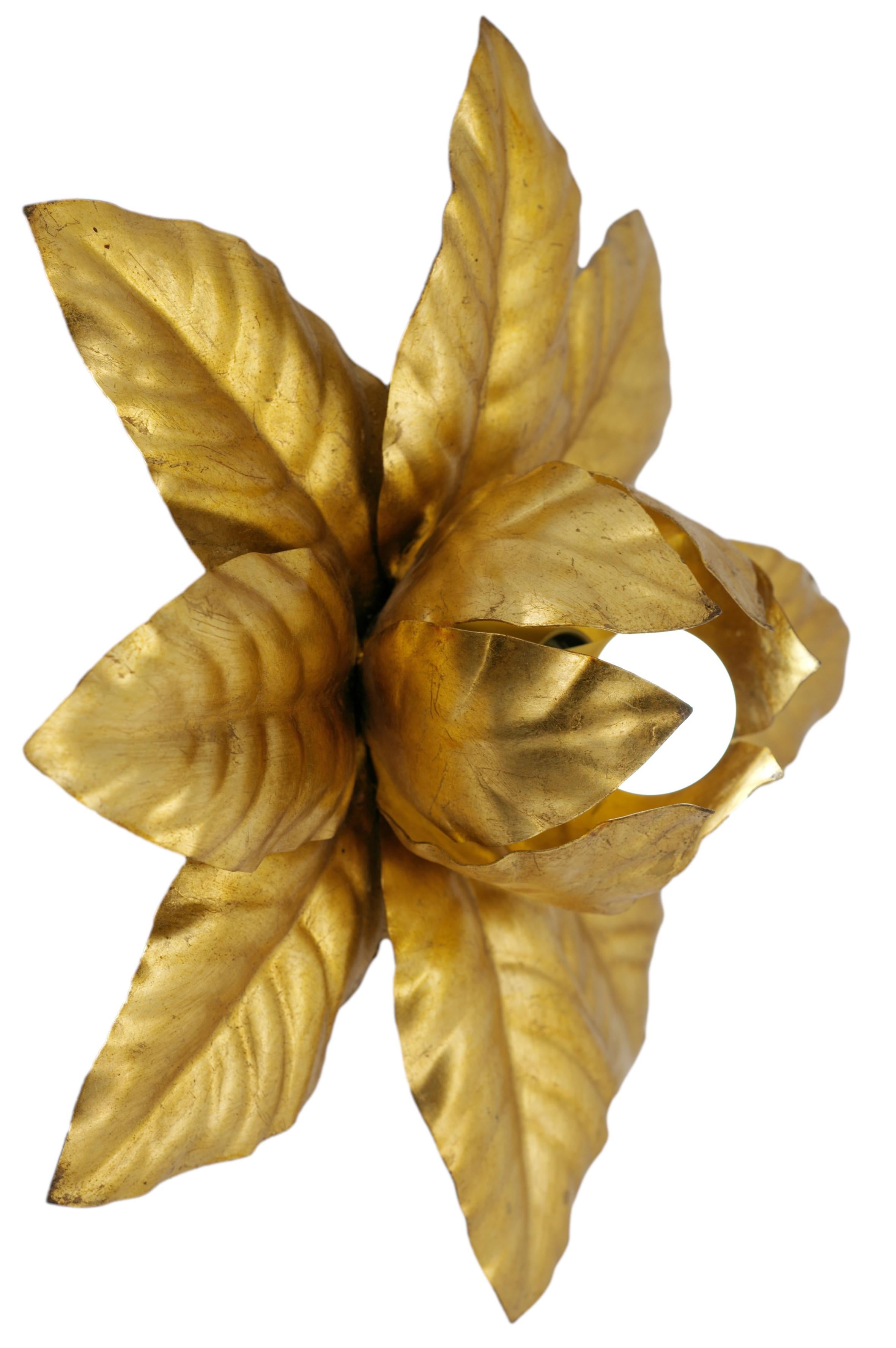 Italienische Unterputz- oder Wandleuchte, 1970er Jahre. Große vergoldete Metallrose mit Blättern. Höhe oder Tiefe: 15 cm (5.9