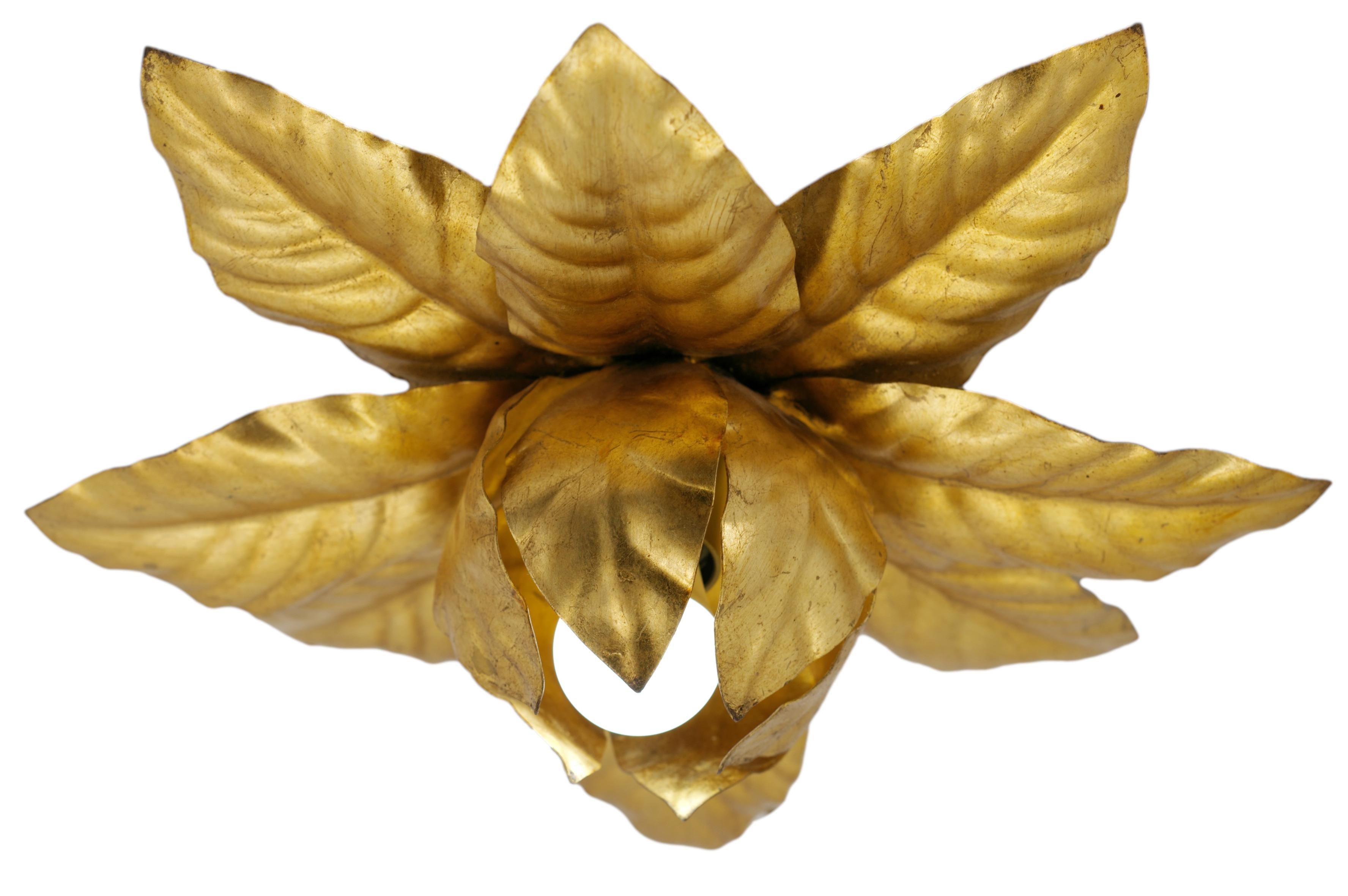 Italian flush mount or wall light, 1970s. Large gilt with leaf metal rose. Height Or Depth : 5.9