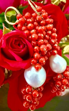 Italian Sardinia Undyed Coral, South Sea Pearl Earrings in 14K Solid Yellow Gold